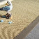 Tapis sisal Minimal champs de blé - Ganse fibre de coton chanvre