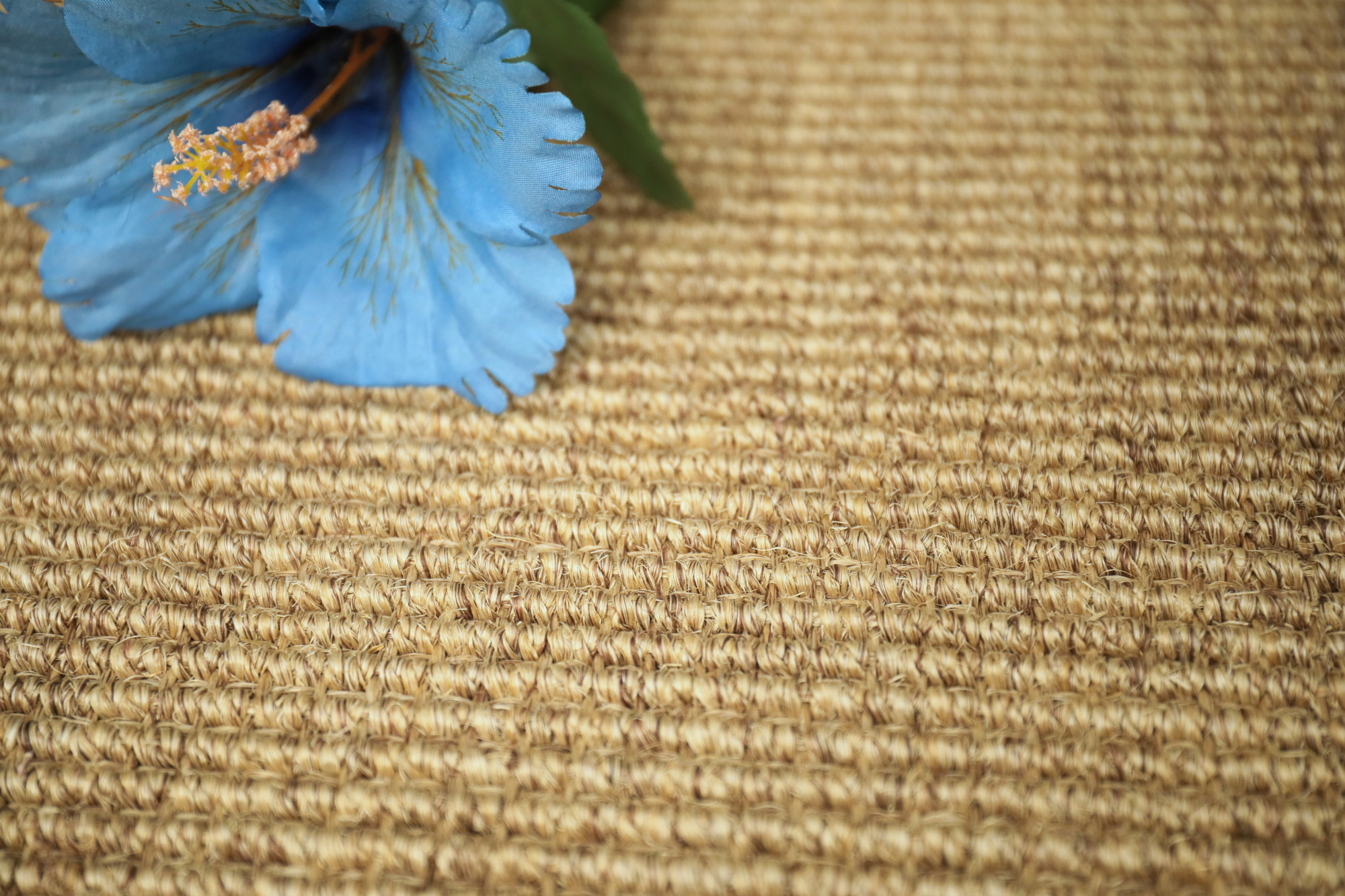 Sol Sisal - Loop - Seigle révélant toute la richesse de ses fibres naturelles en boucles épaisses
