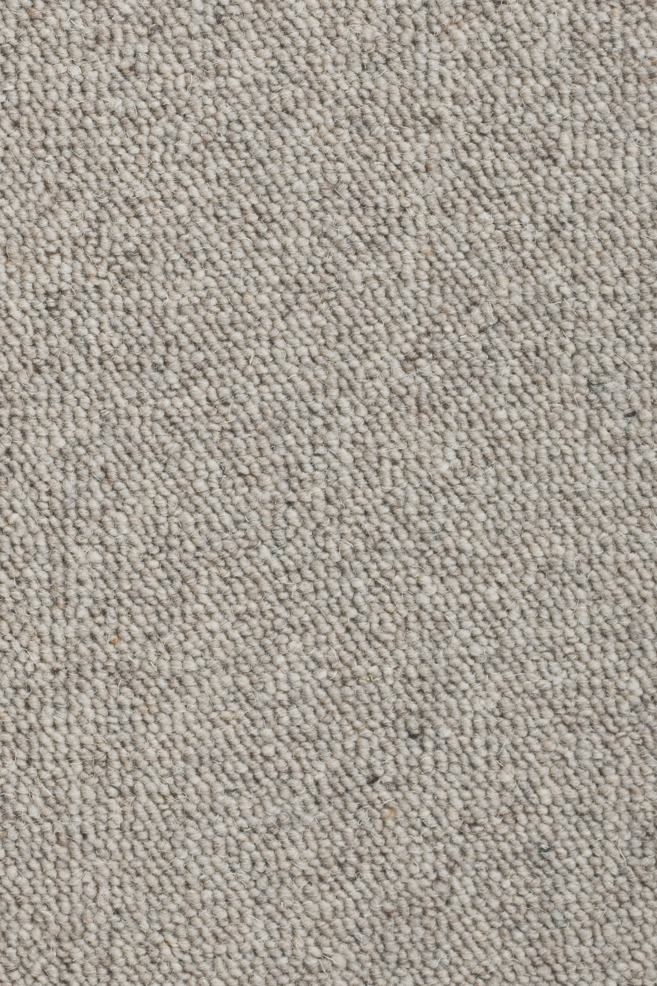 Moquette à la coupe Lanaé Gris tendre, 100 % pure laine vierge, dossier feutre acoustique