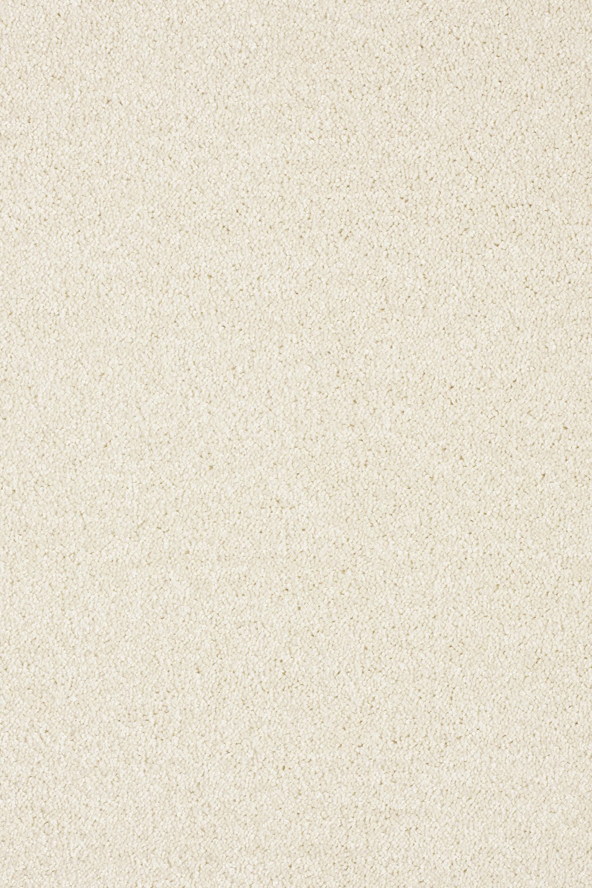 Aspect matière de la moquette Infini 11.5 - Crème vanille révélant des fibres douces et homogènes