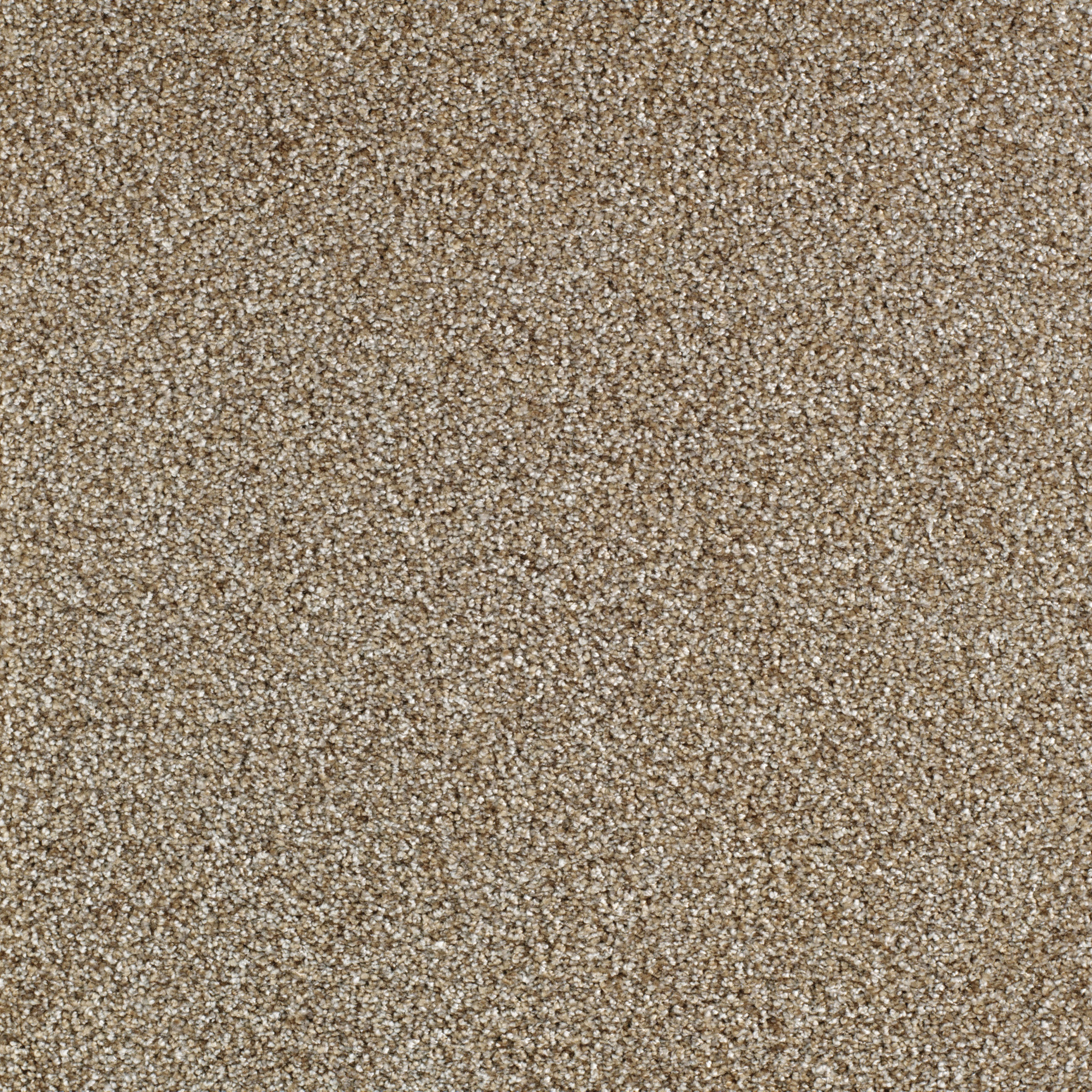 Détail de la moquette Délicatesse - Beige caramel révélant ses fibres douces et son aspect satiné