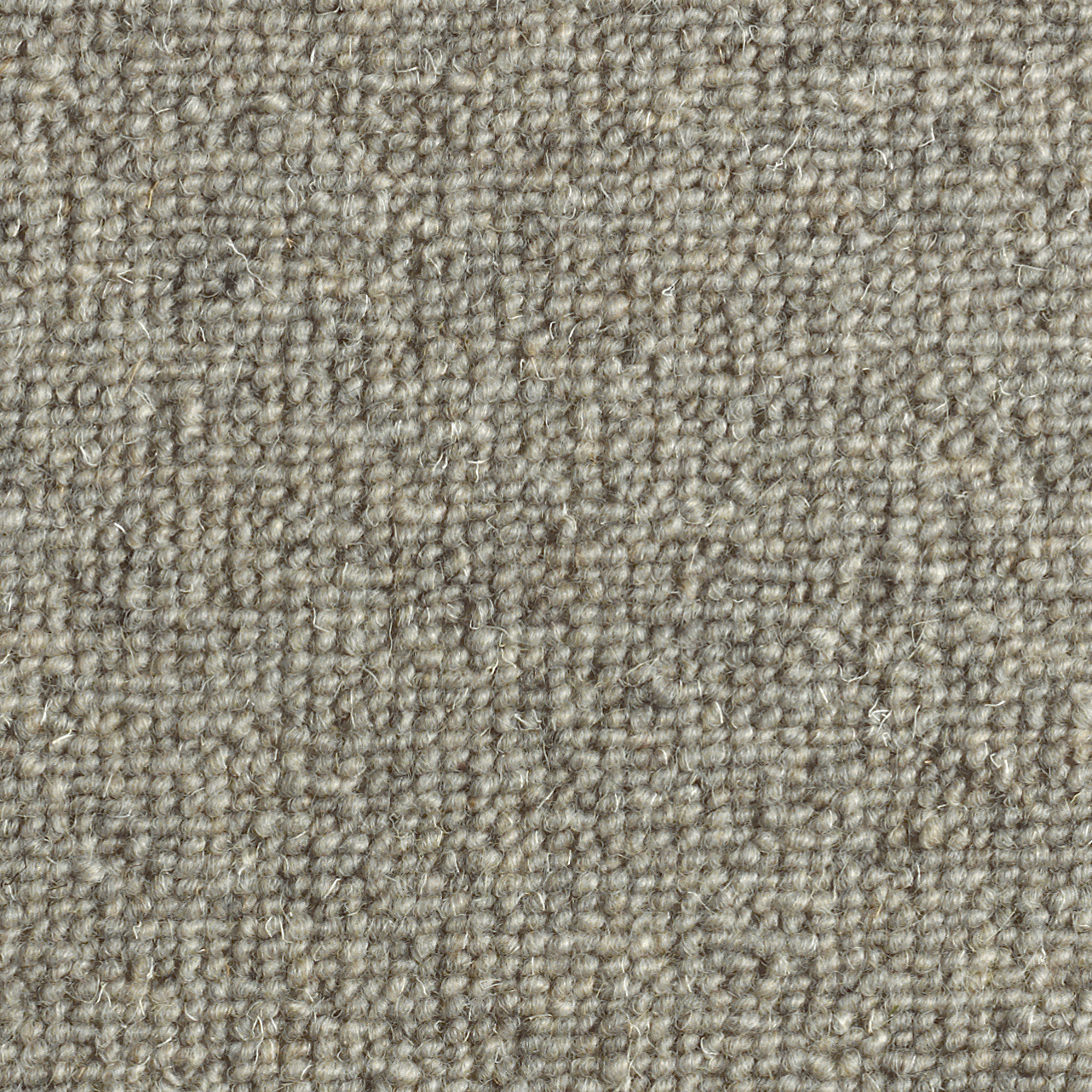 Texture de la moquette Dolce Vita Gris nuage en pure laine vierge aux petites boucles délicates