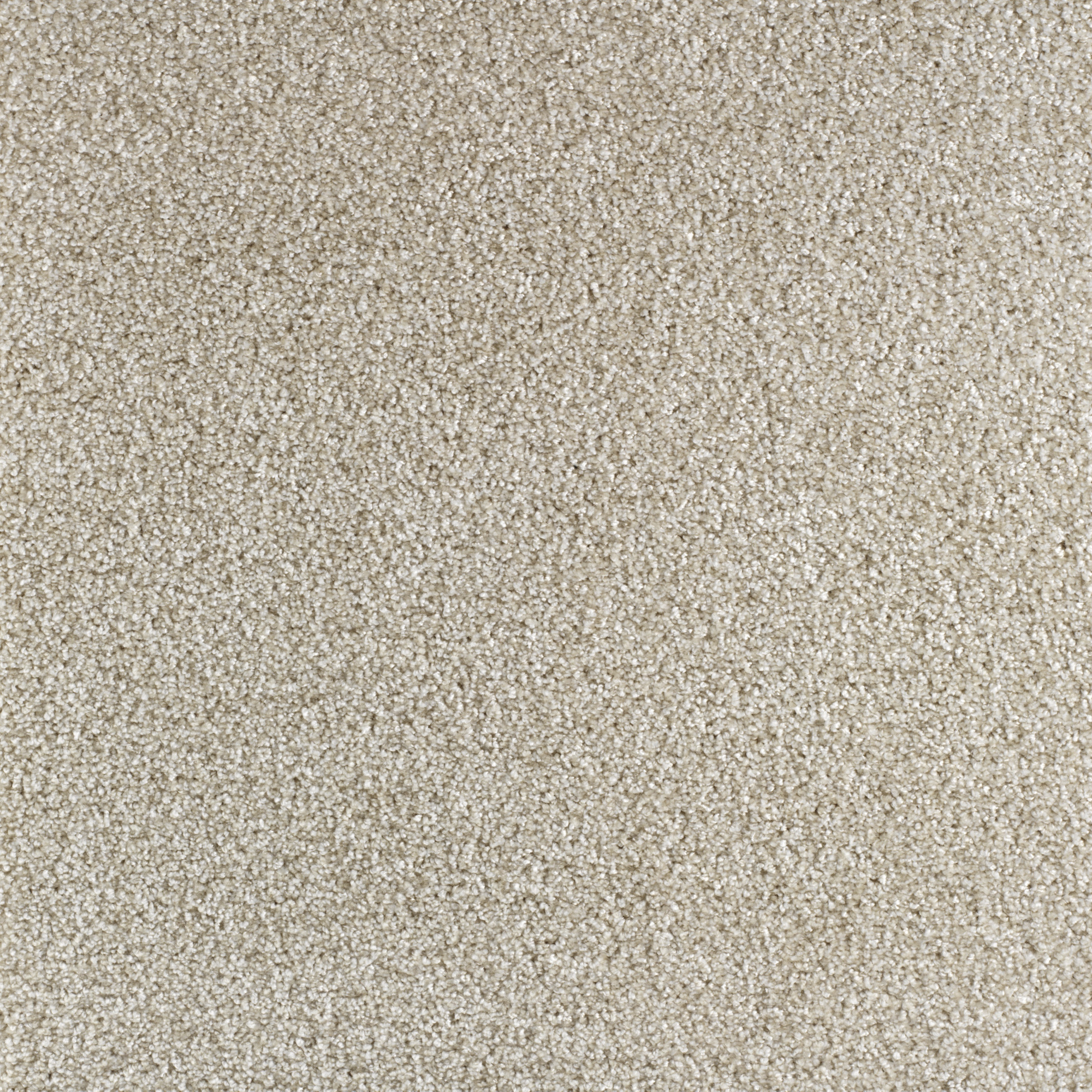 Aspect matière de la moquette Délicatesse - Fil de lin révélant des fibres douces et homogènes