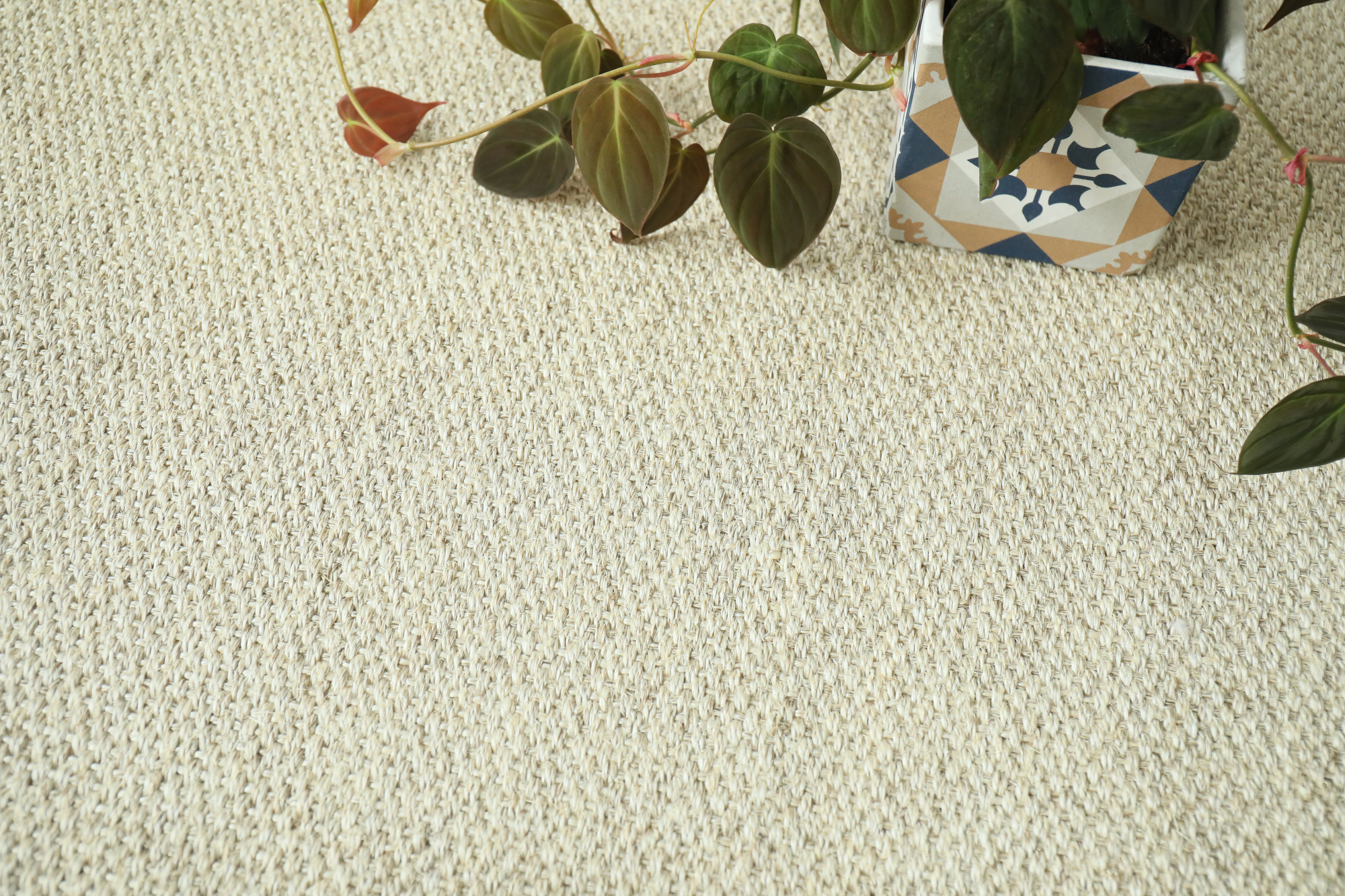 Sol Sisal Crafted Flocon d'avoine, fibres naturelles pour intérieur chaleureux et naturel