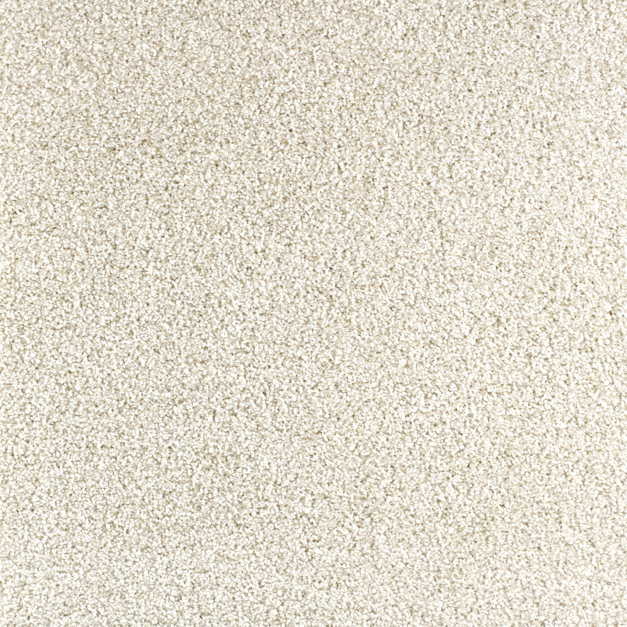 Aspect matière de la moquette Délicatesse - Crème vanille révélant une texture douce et uniforme