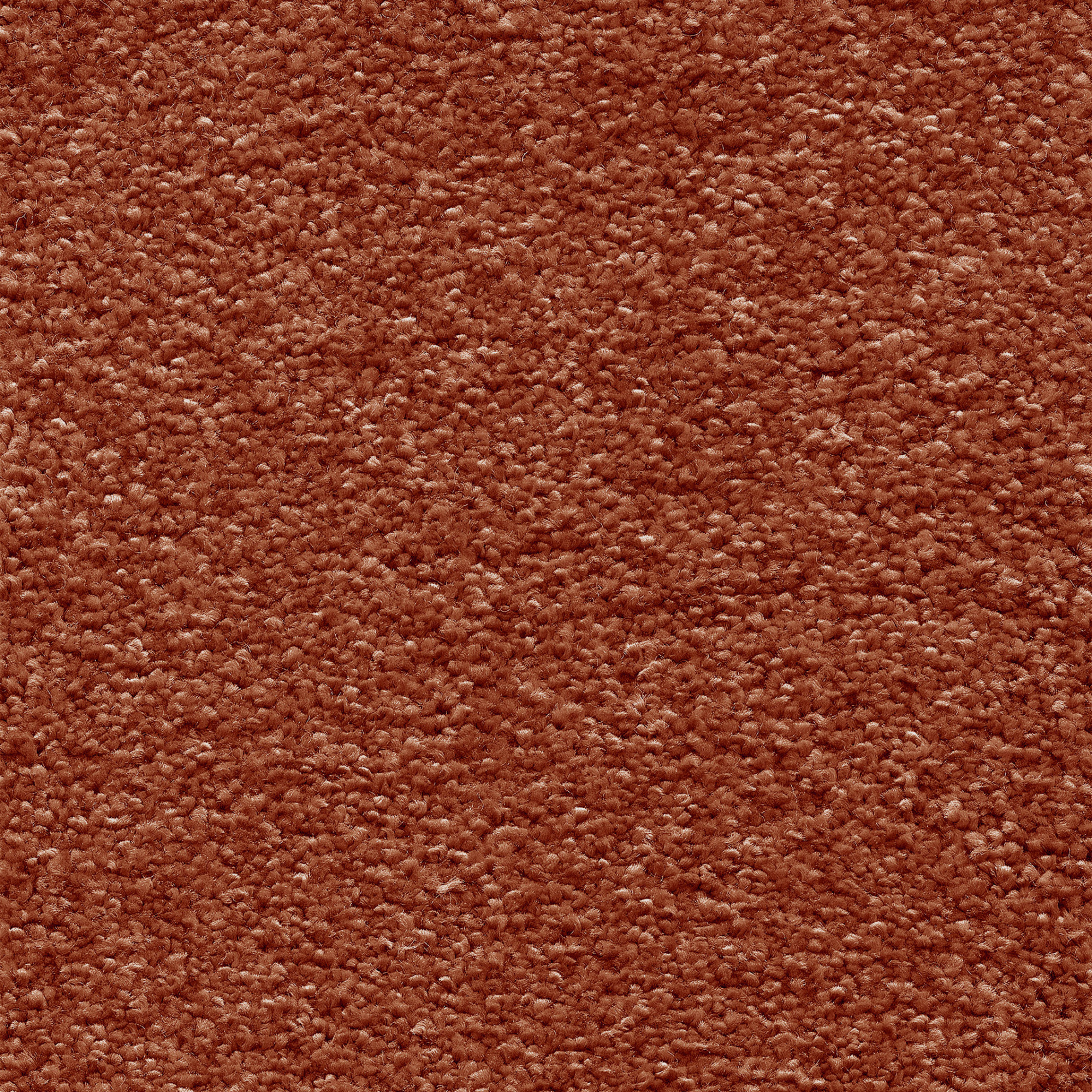 Surface de la moquette Chroma Sense Cuivre ancien aux fibres serrées et à l'aspect confortable