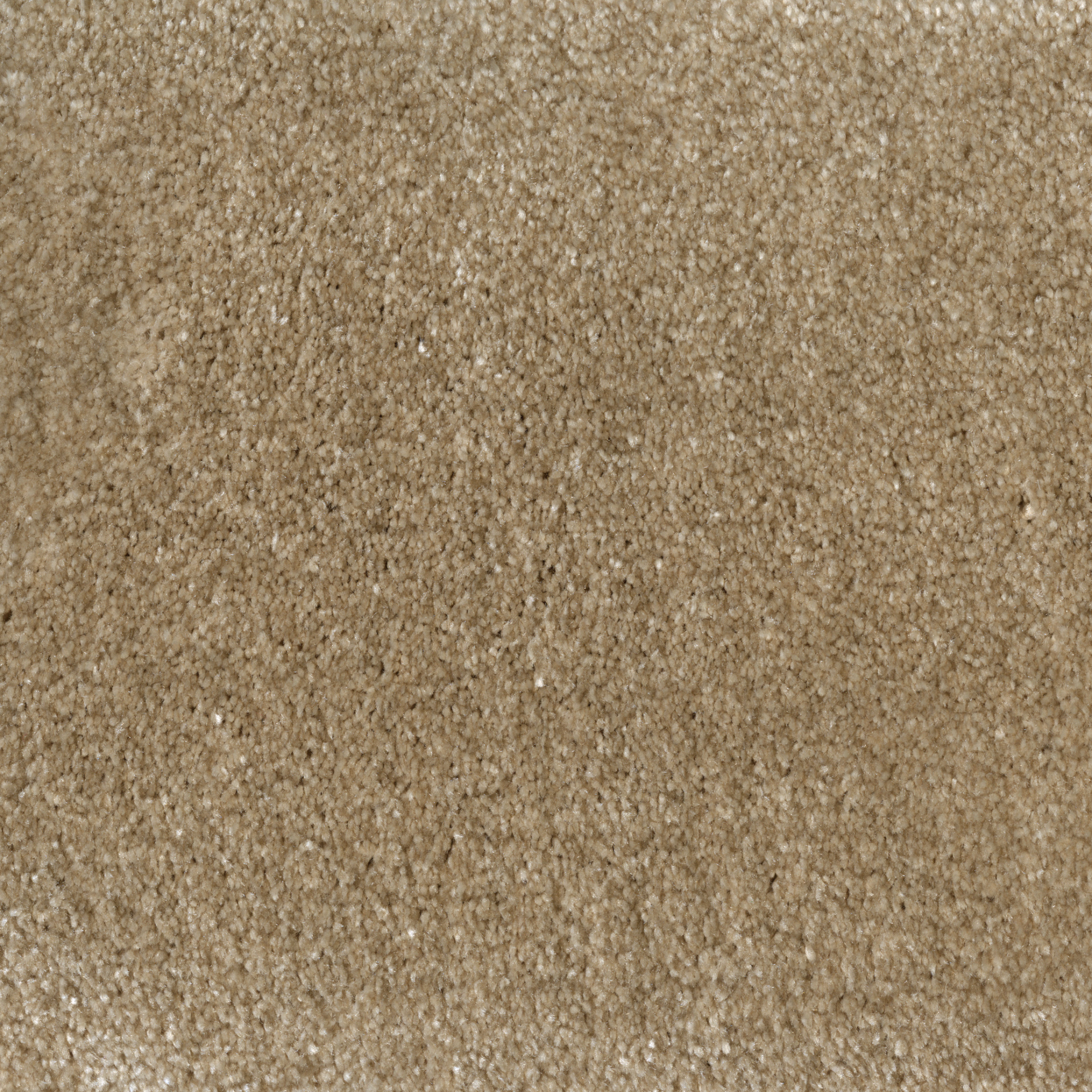 Moquette soyeuse Volupté camel