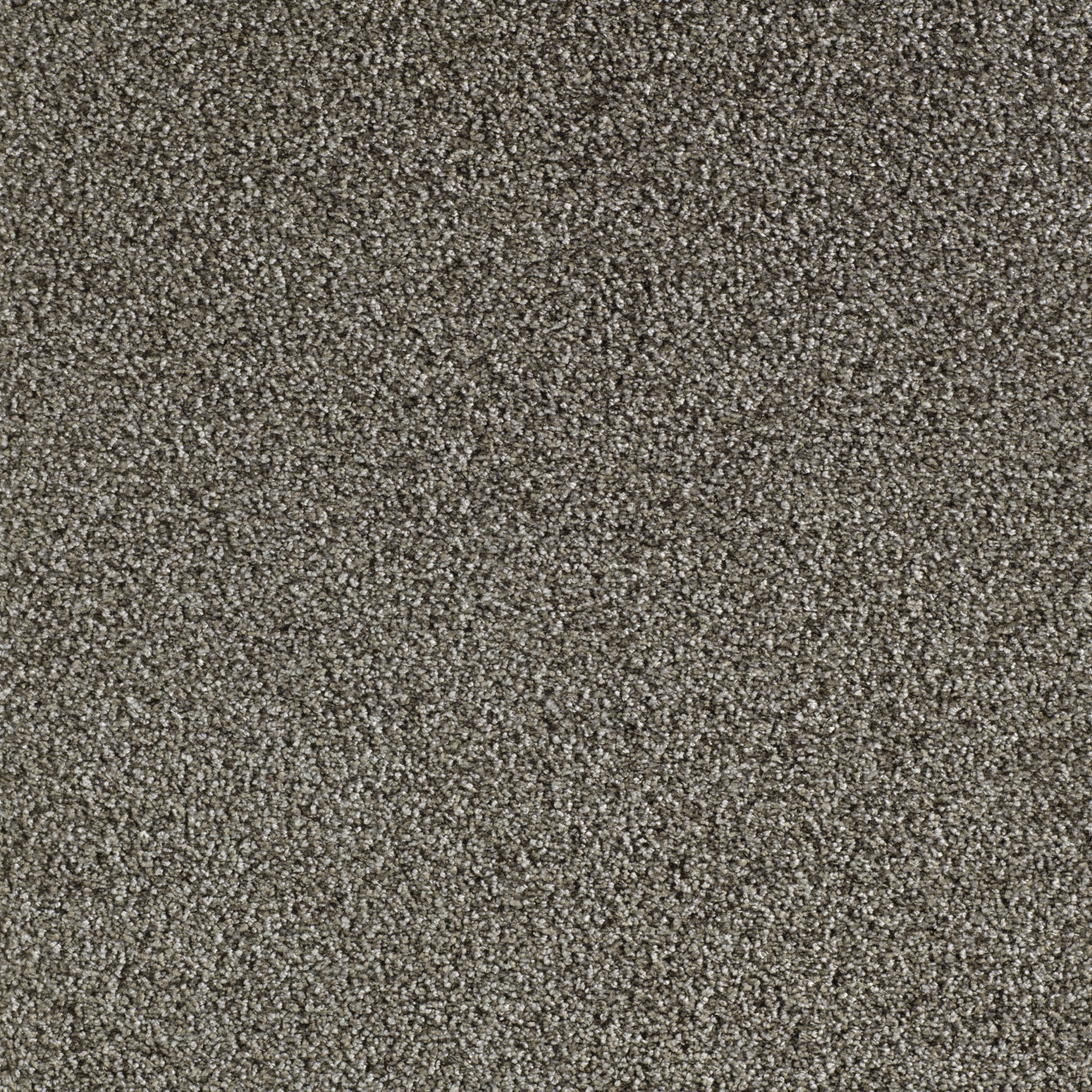 Détail des fibres de la moquette douce Délicatesse - Marron tonka à l'aspect satiné