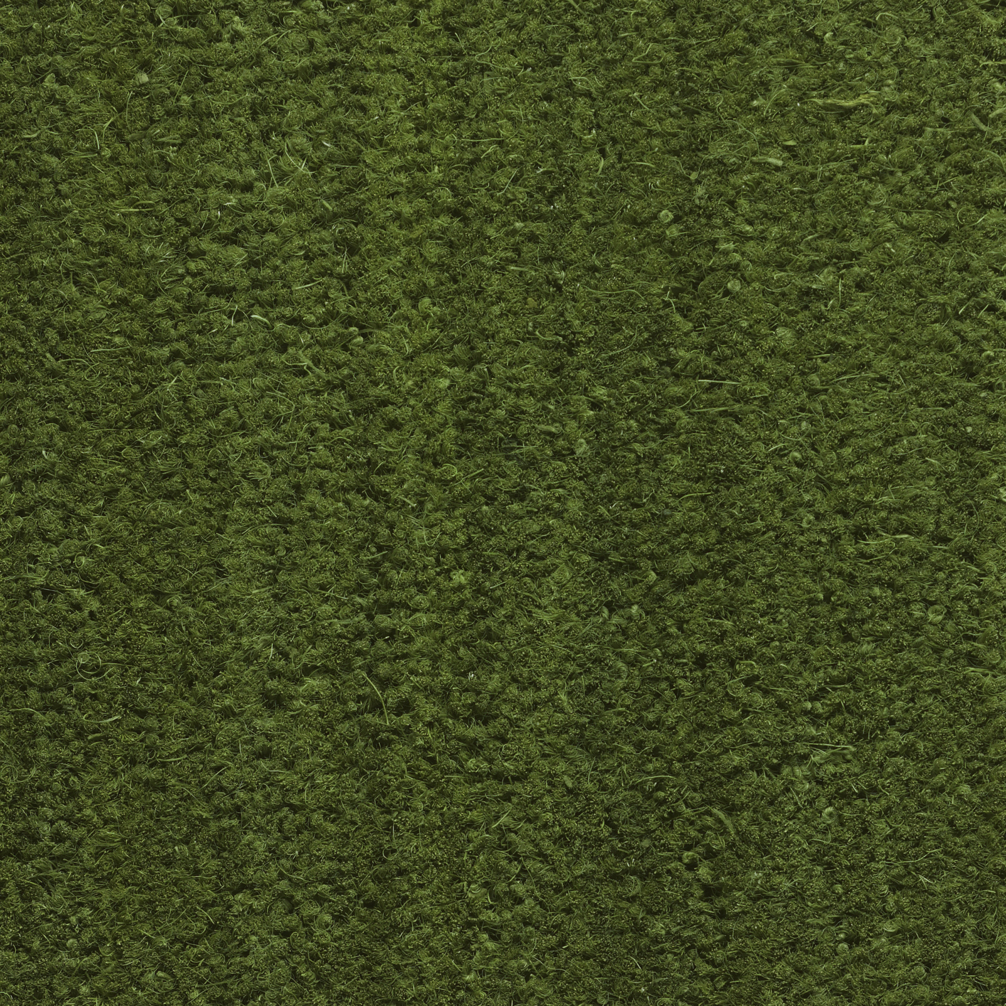 Paillasson en fibre de coco 17 mm, couleur vert, dimensions personnalisables