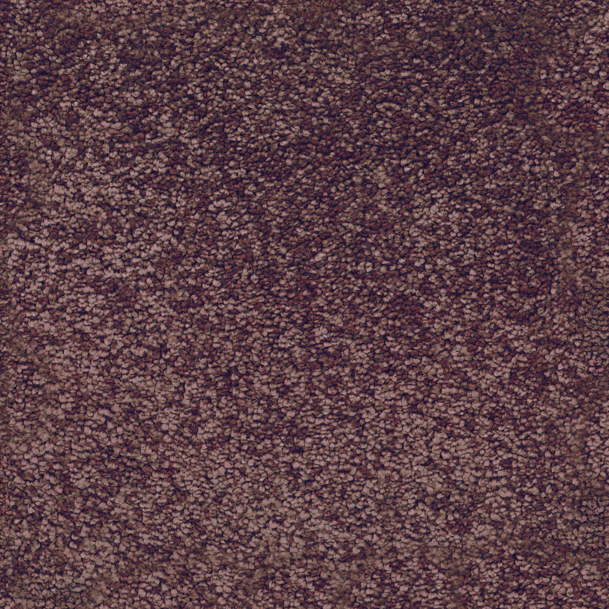 Moquette - Palace - Rose antique