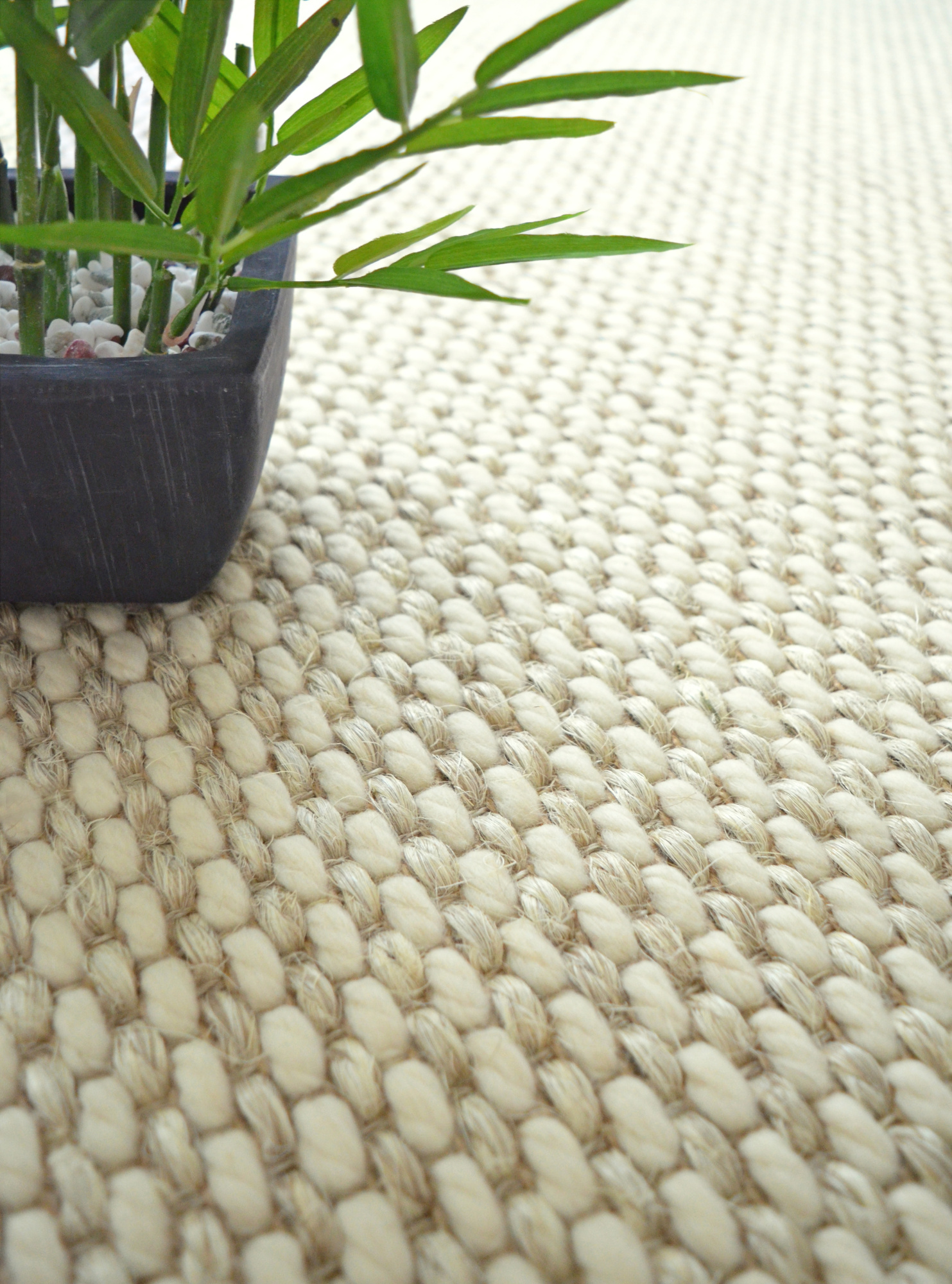 Moquette laine et sisal Organic - Milkshake vanille - gros plan