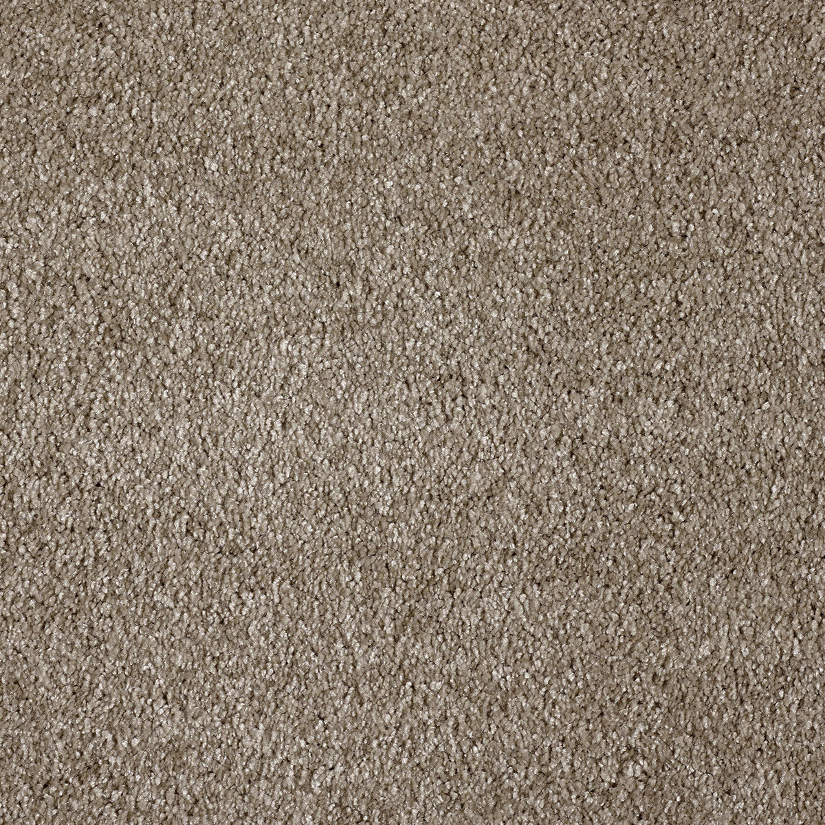 Moquette Chroma Sense Marron tonka, une surface veloutée qui apporte une ambiance douce et lumineuse dans tout espace de vie