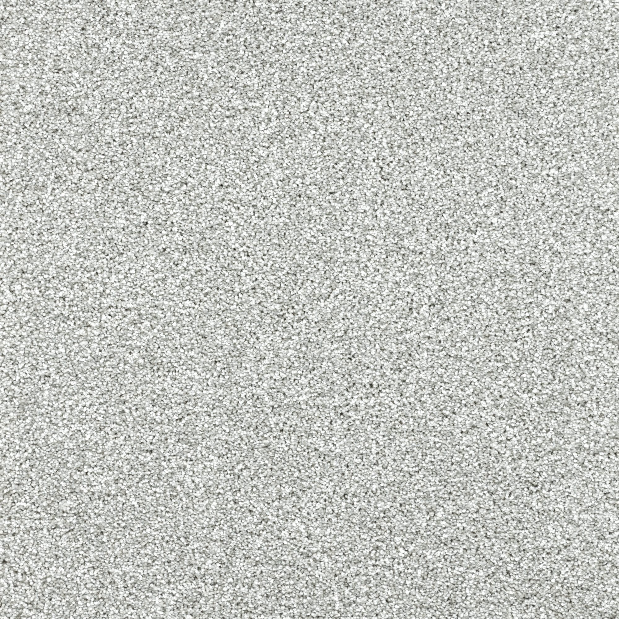 Texture de la moquette douce Délicatesse - Gris urbain au coloris gris clair lumineux