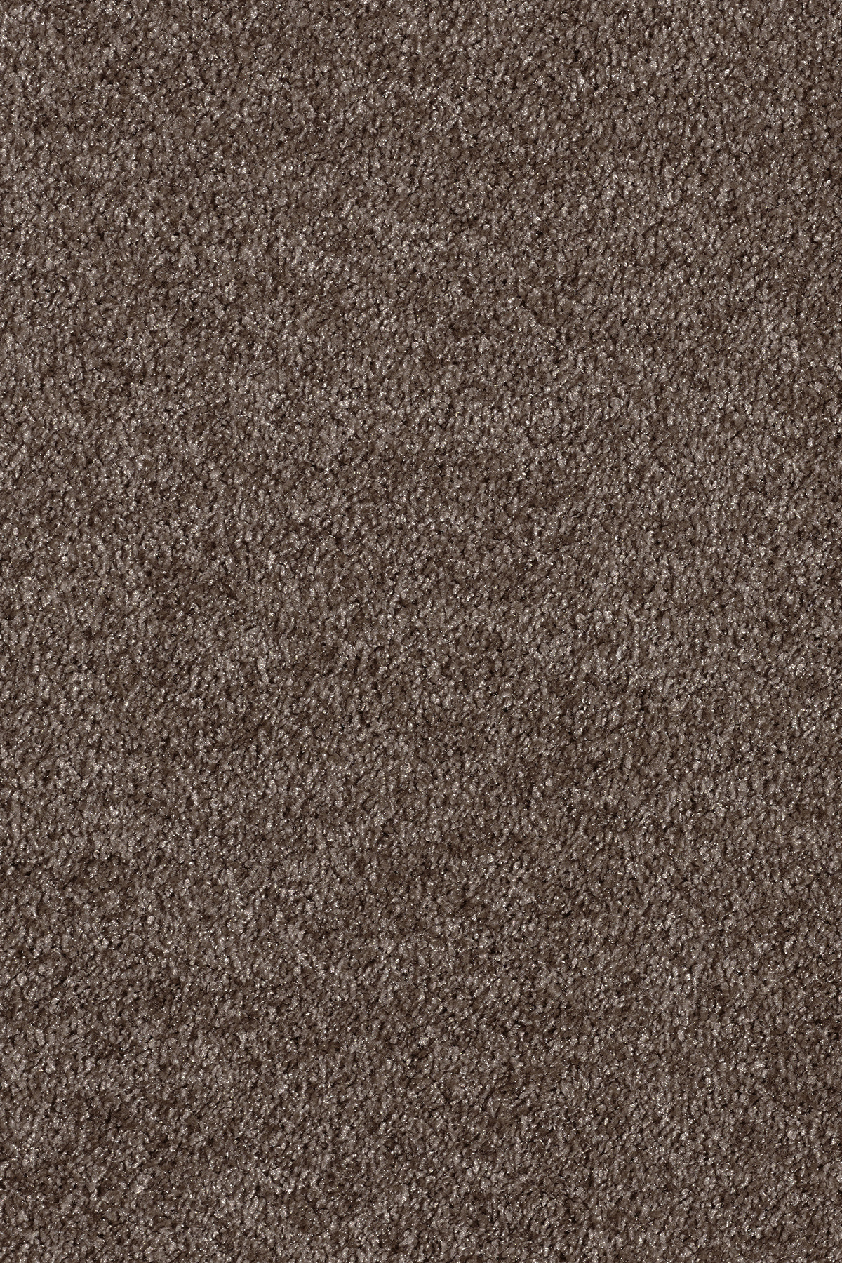 Moquette éco-conçue - Infini 17.5 - Marron tonka