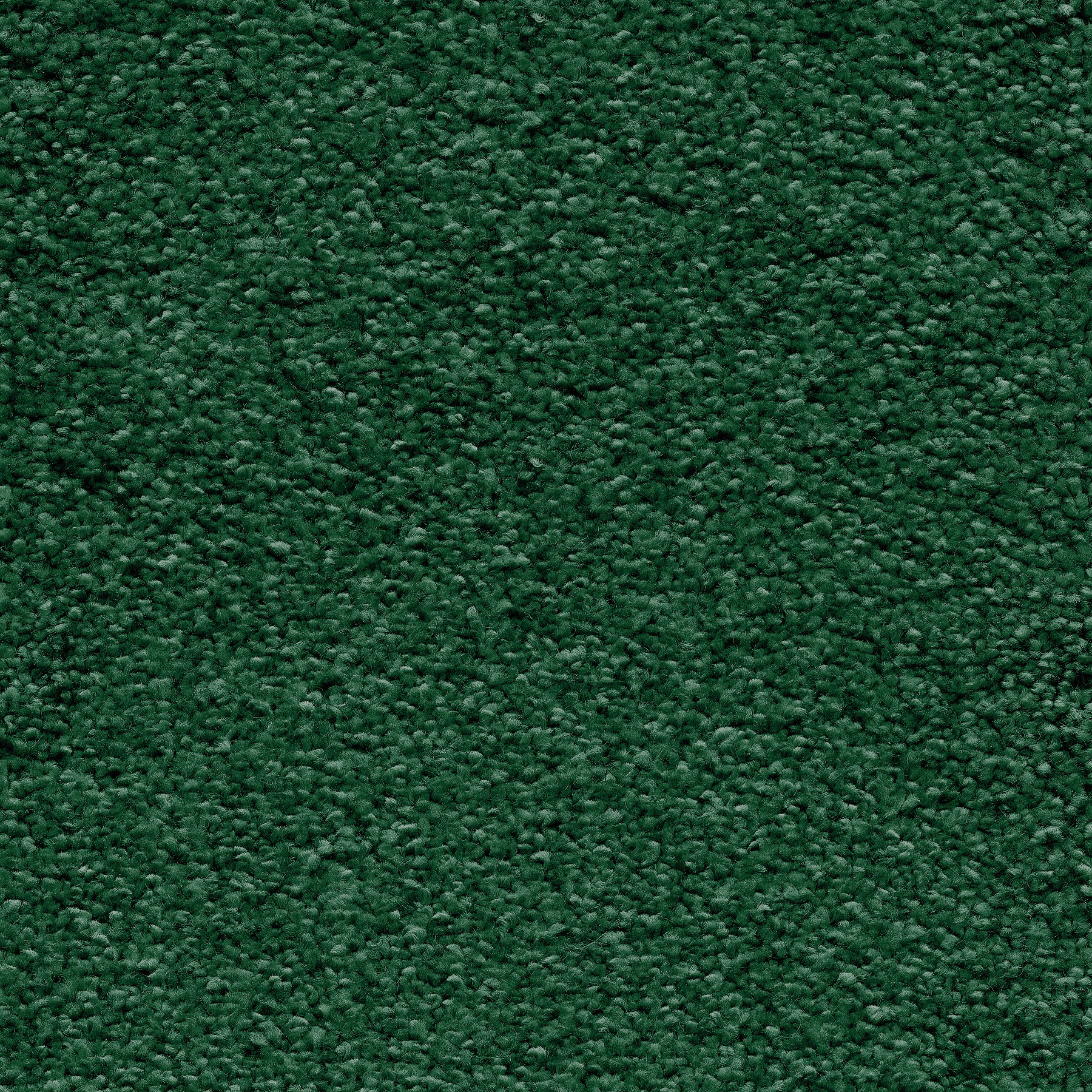 Texture de la moquette Chroma Sense, fibre polyamide douce et dense, vert foncé