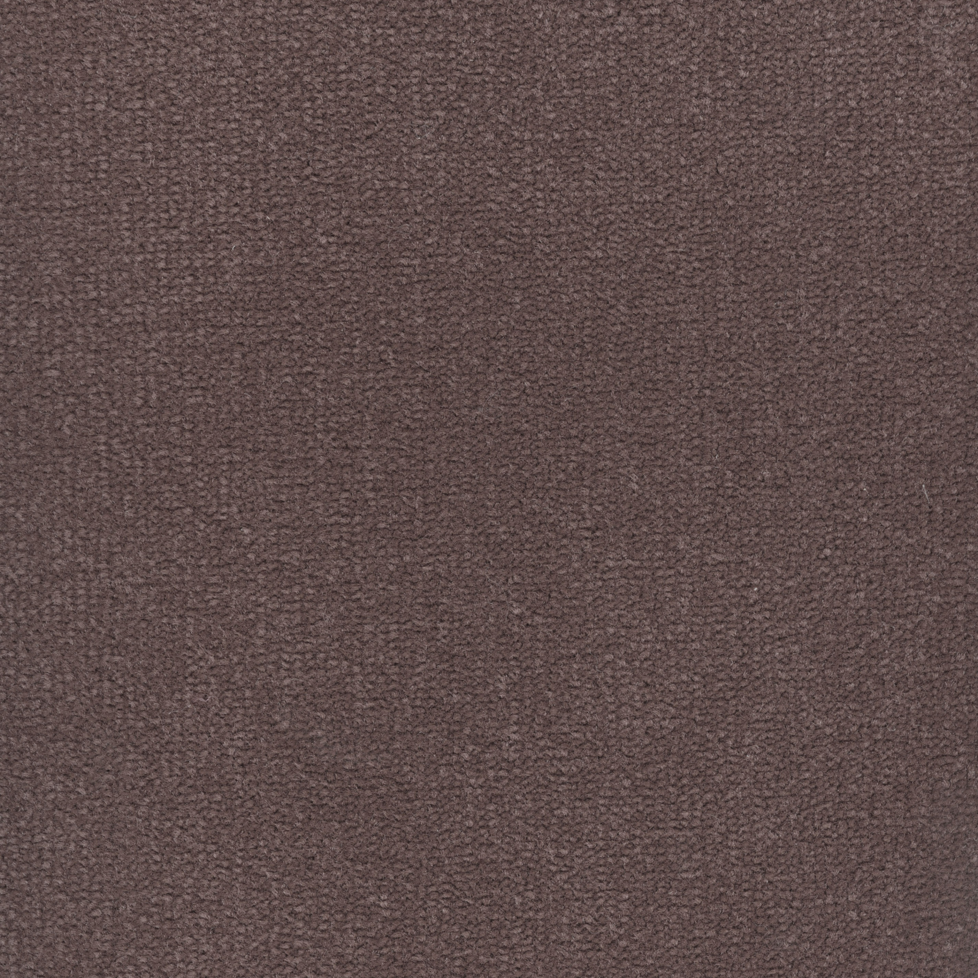 Zoom sur la texture résistante de la moquette haute performance Sylon - Marron tonka