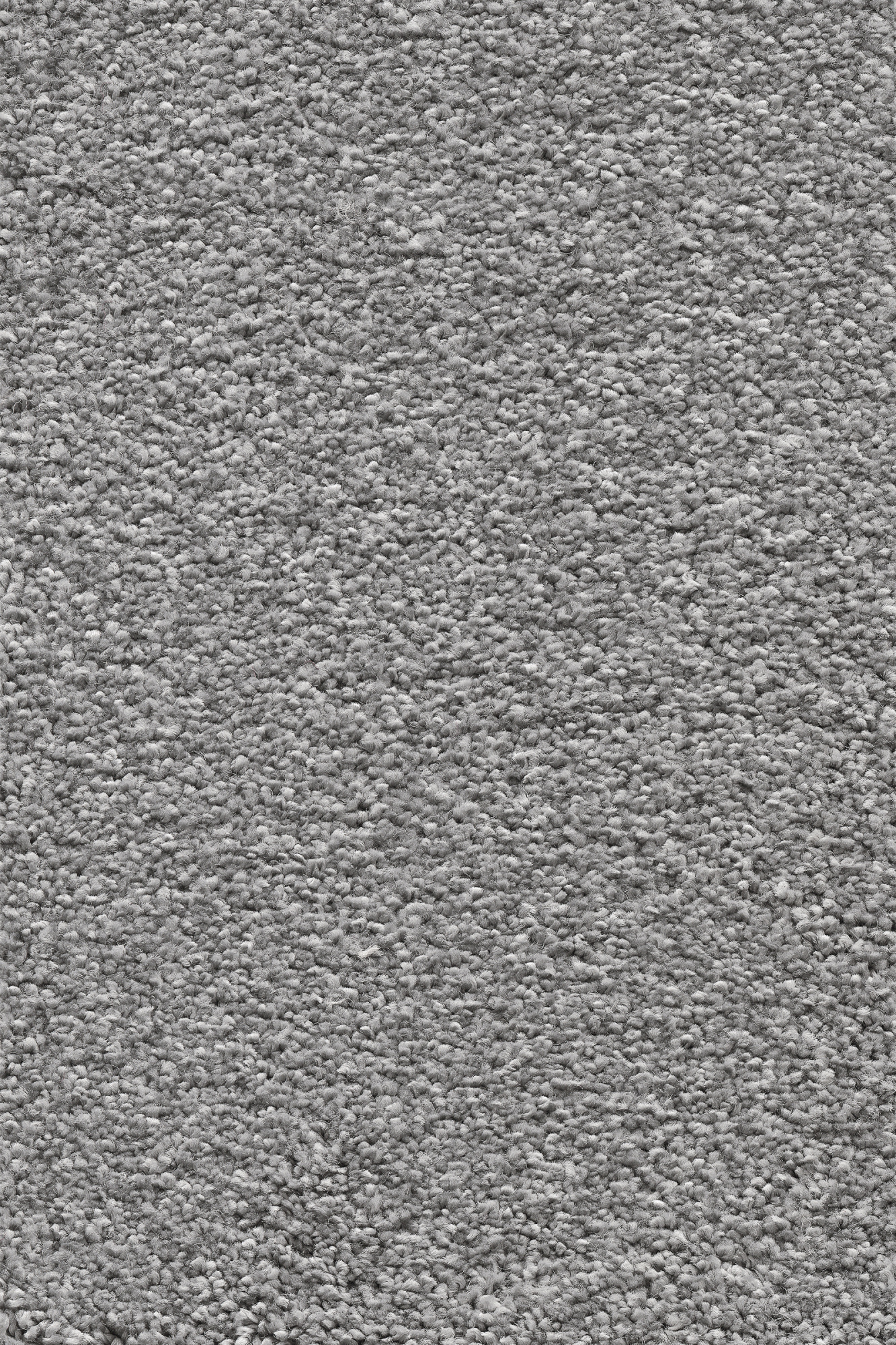 Moquette - Lovely - Gris acier - sans perspective