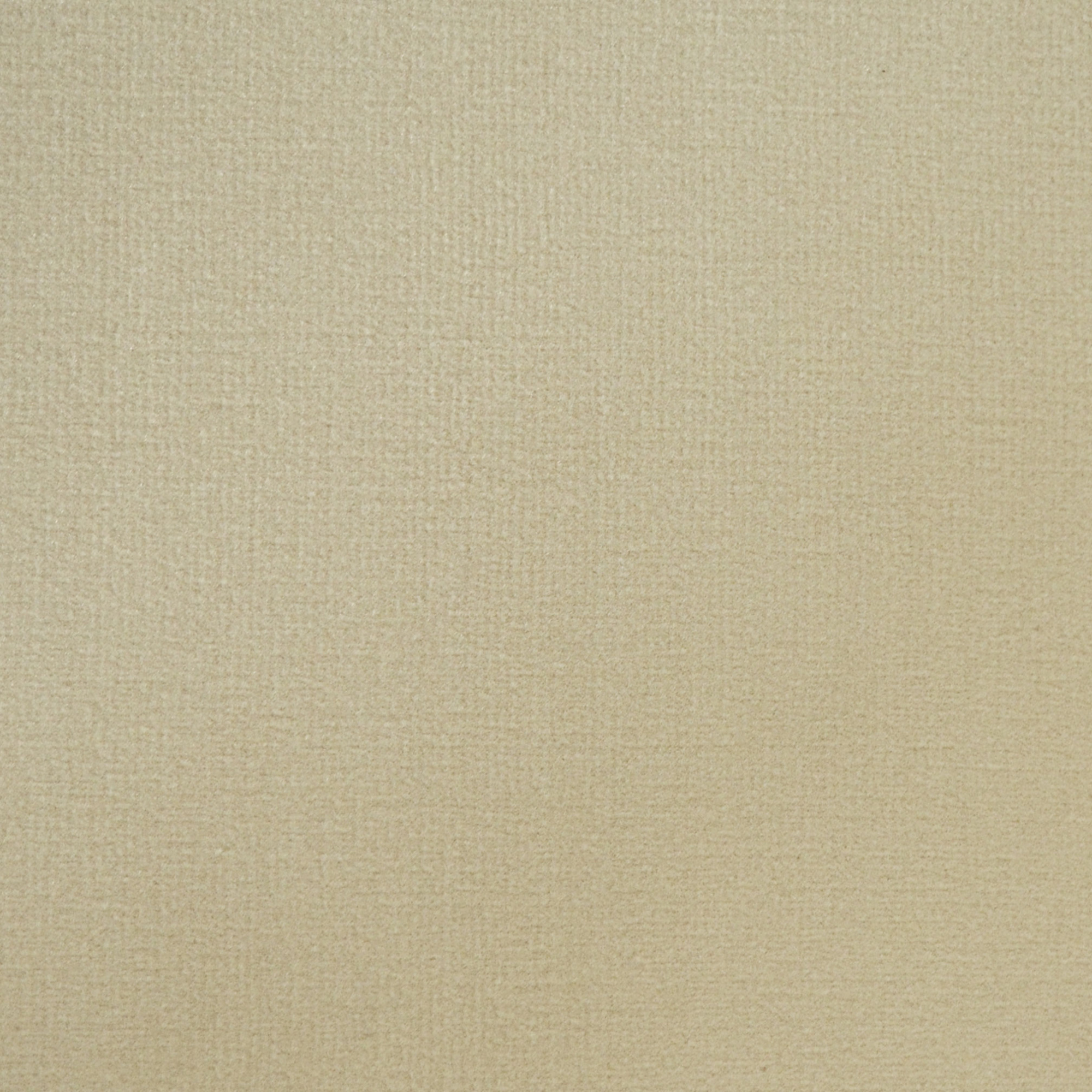 Gros plan sur la surface veloutée de la moquette Résilience U3P3 Crème, uni et intemporel