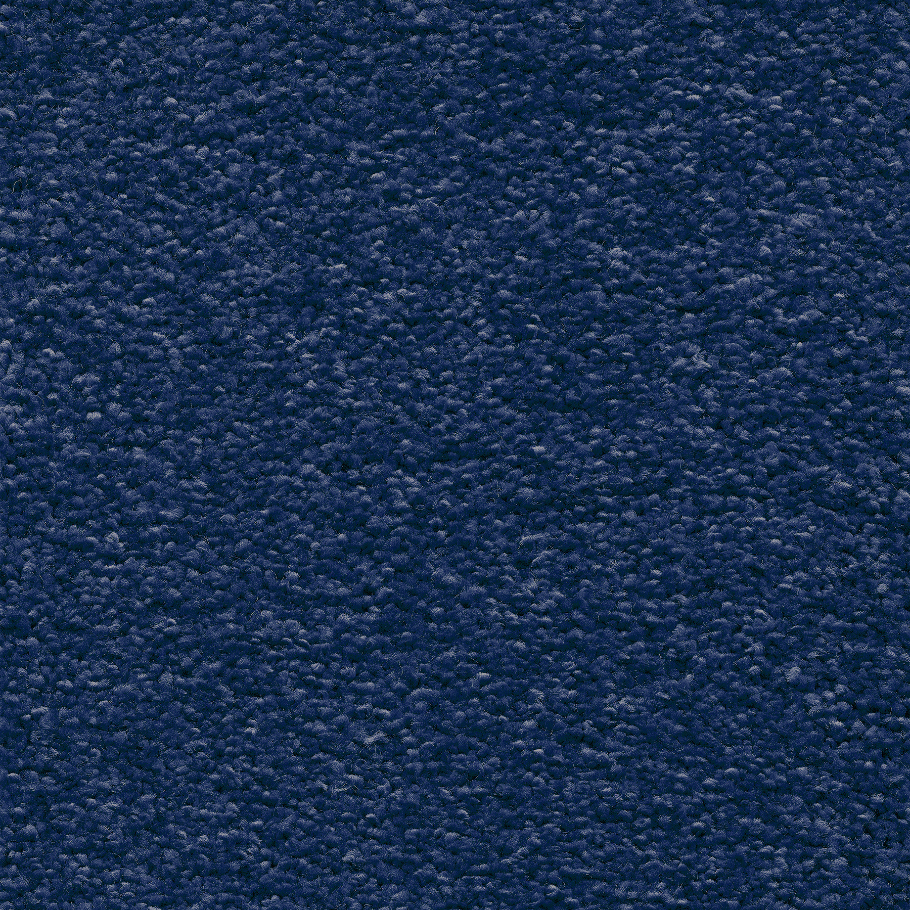Échantillon visuel de la fibre polyamide de la moquette Chroma Sense Encre bleue