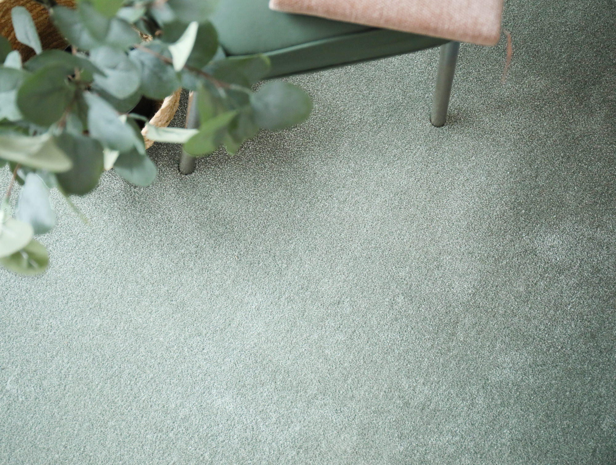 Moquette soyeuse Volupté vert tilleul - vue de haut