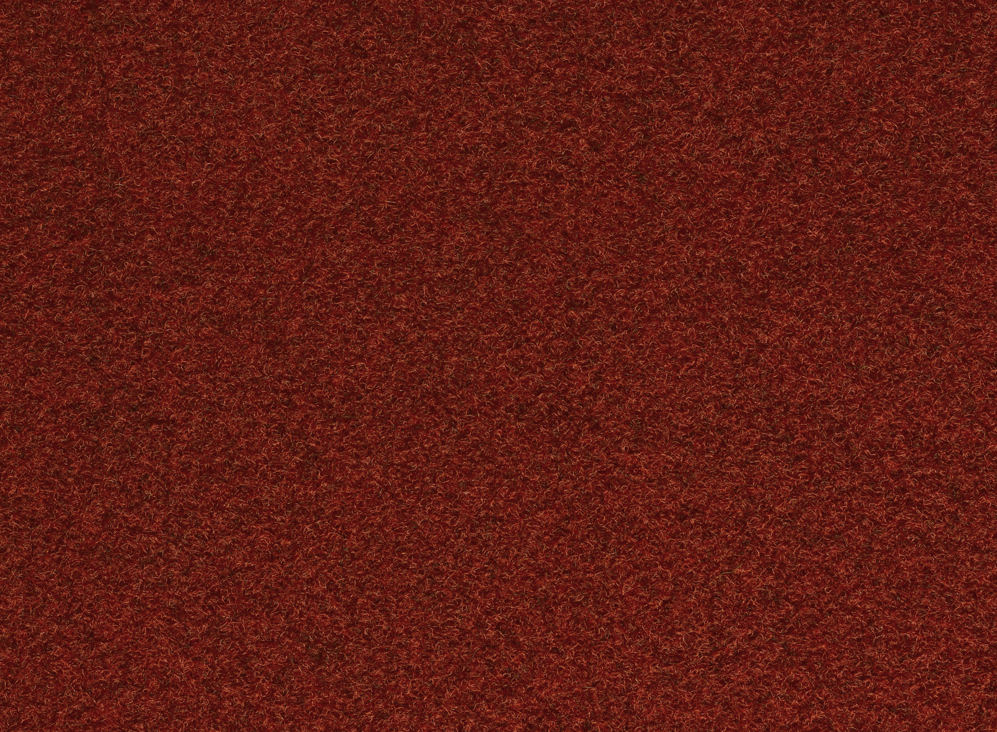 Tapis d'entrée synthétique - Rouge, surface grattante de 11,5 mm d’épaisseur résistante et facile à entretenir