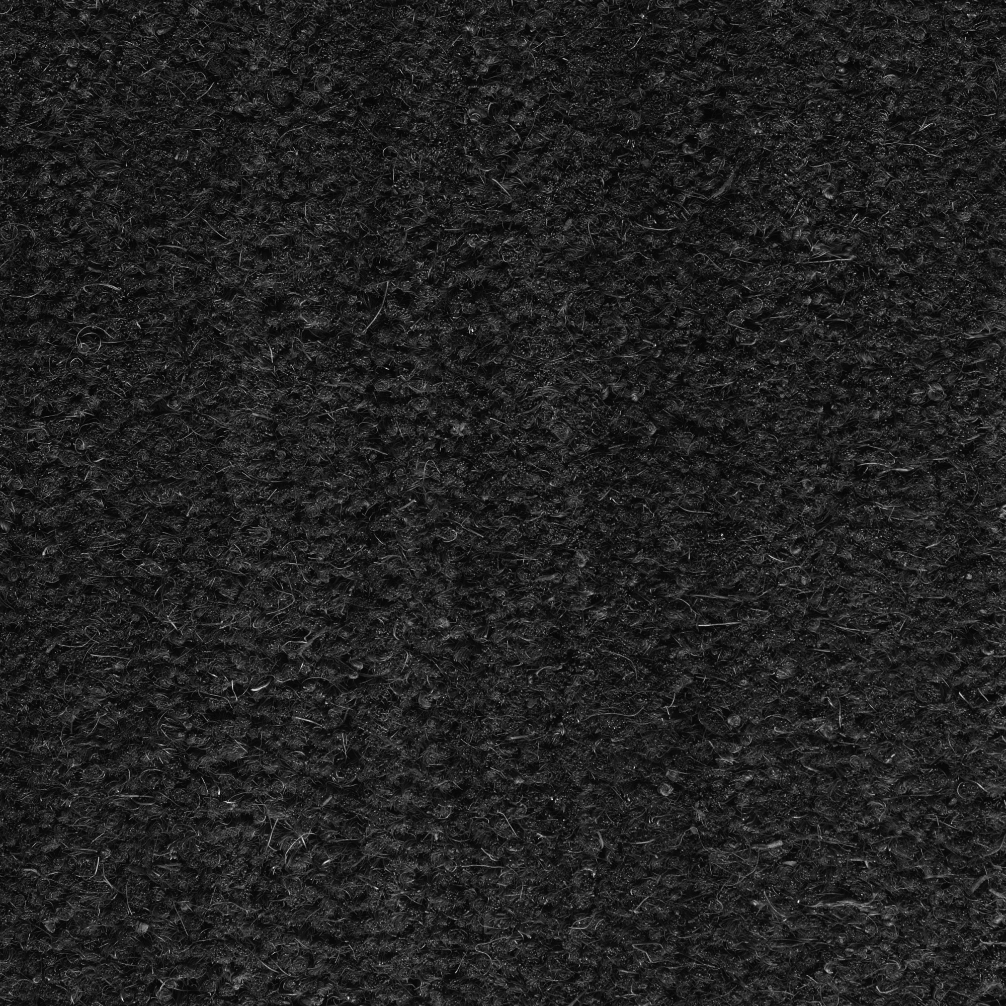 Usage intensif Spécial PMR-ERP avec le paillasson brosse noir en coco, 23 mm, accessibilité