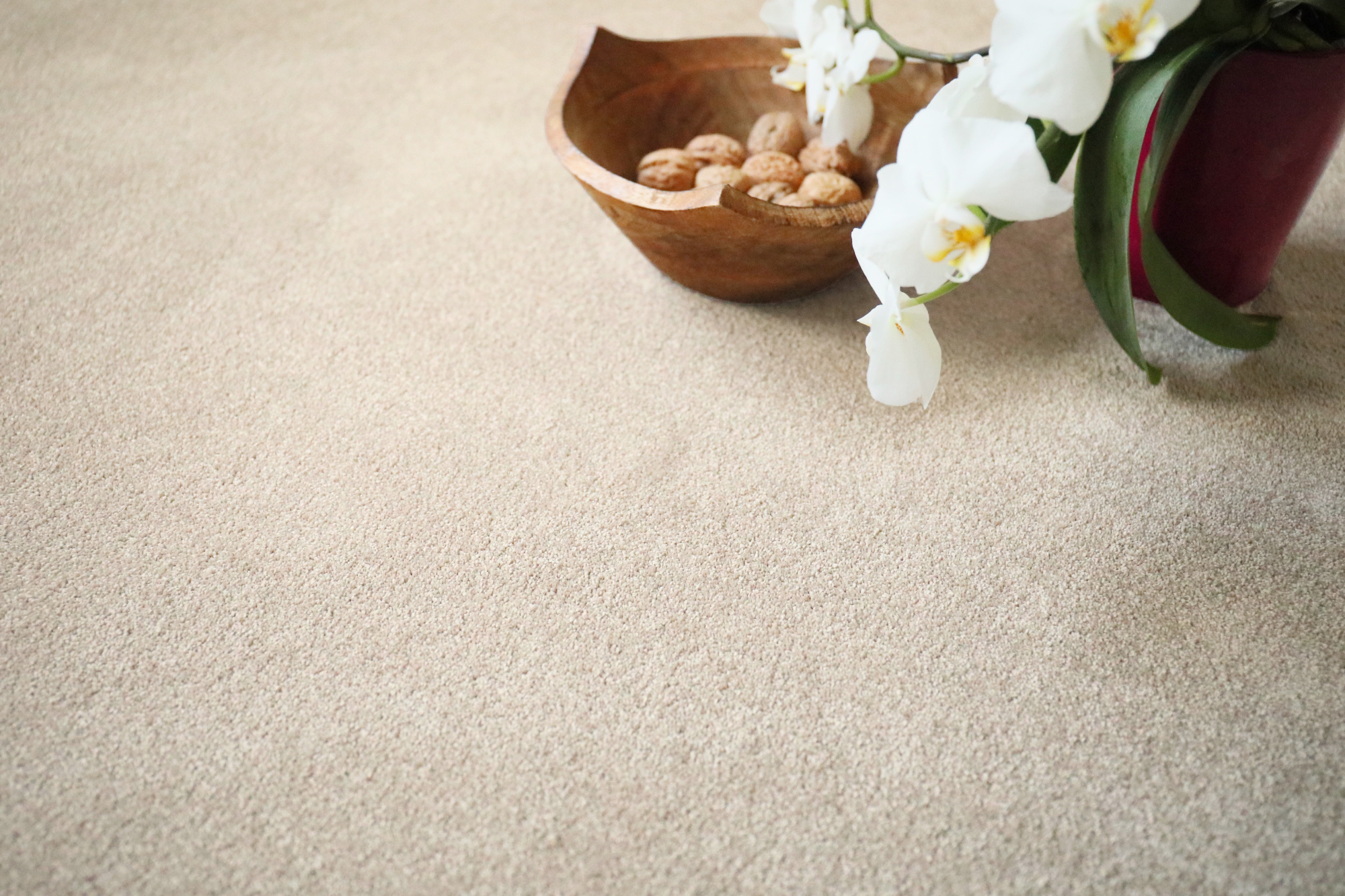 Moquette éco-conçue - Infini 11.5 - Lin naturel avec vue rapprochée de la matière et décoration végétale