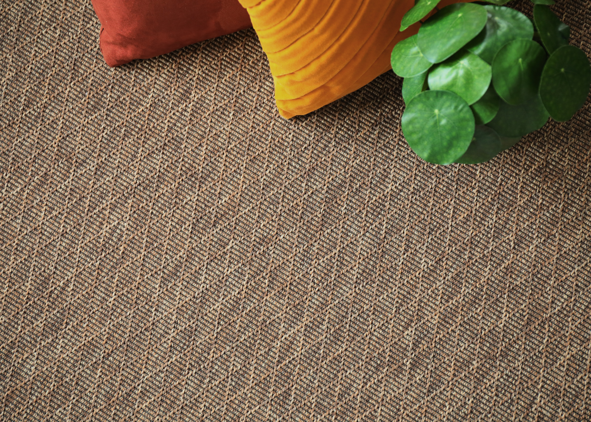 Tissé plat Linéale - Couleur Praline - vue de haut