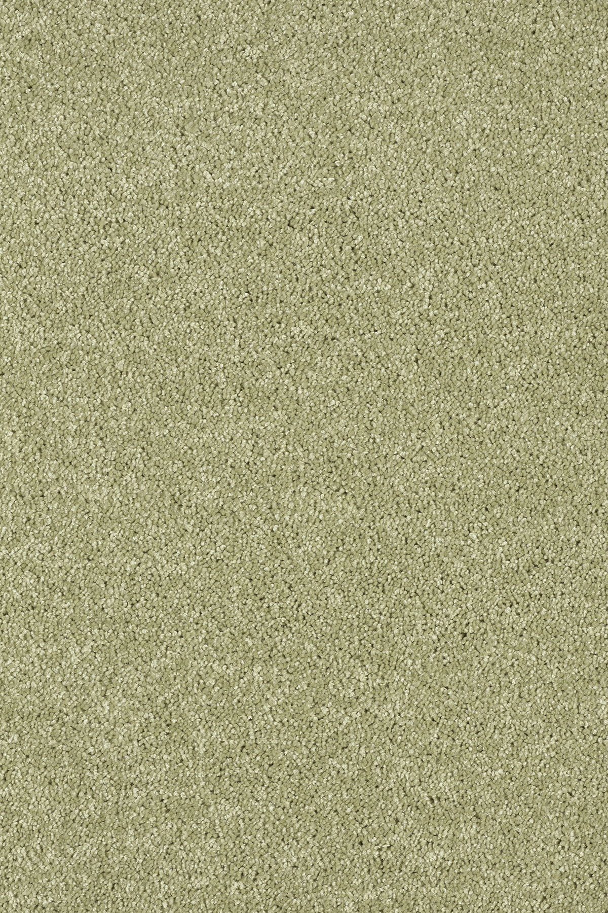 Moquette éco-conçue - Infini 11.5 - Vert amande