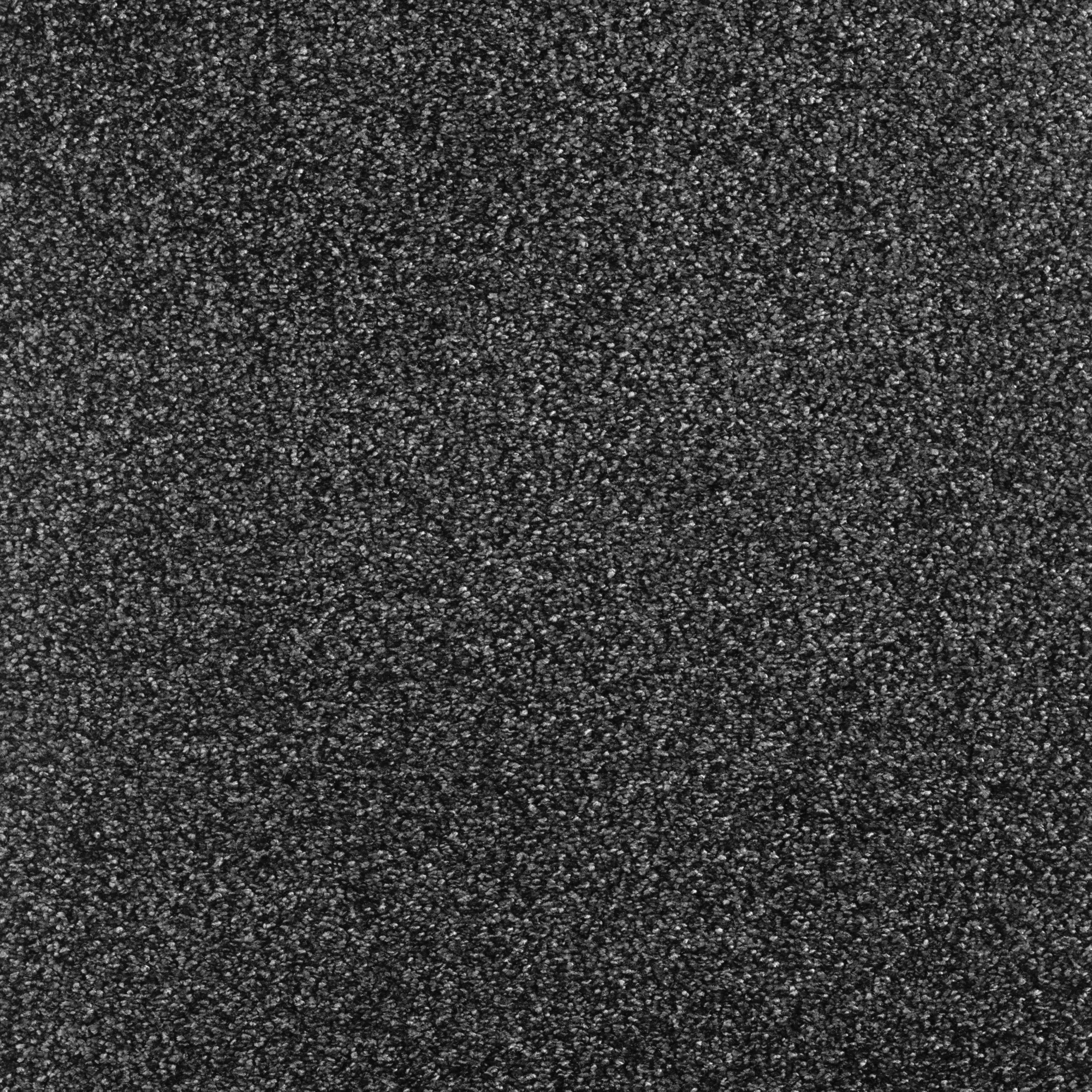 Aspect matière de la moquette Délicatesse - Gris carbone révélant des fibres douces aux nuances charbon subtilement chinées