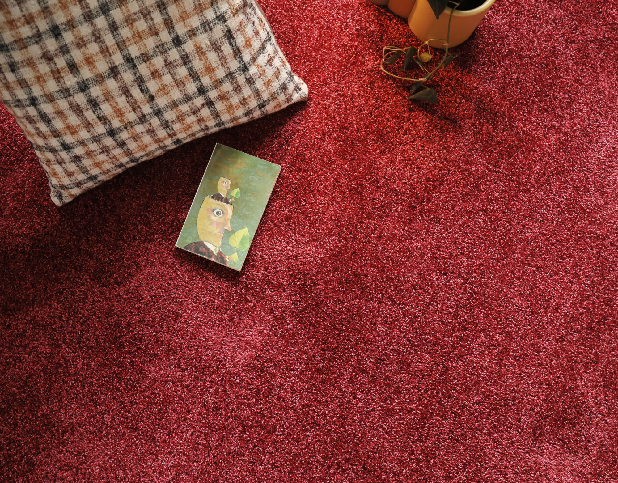 Moquette Délicatesse - Rouge gourmand révélant son velours dense et son coloris rouge chaleureux