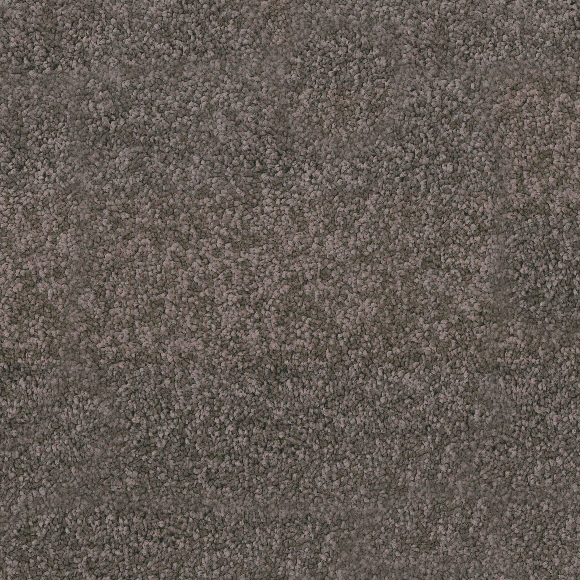 Moquette - Palace - Terre d’Orient