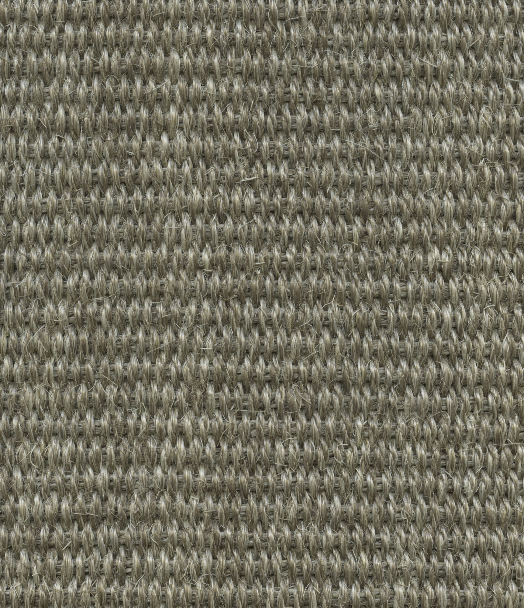 Zoom sur les fibres de sisal du revêtement Lianora - Lin cendré, tissage fin et robuste