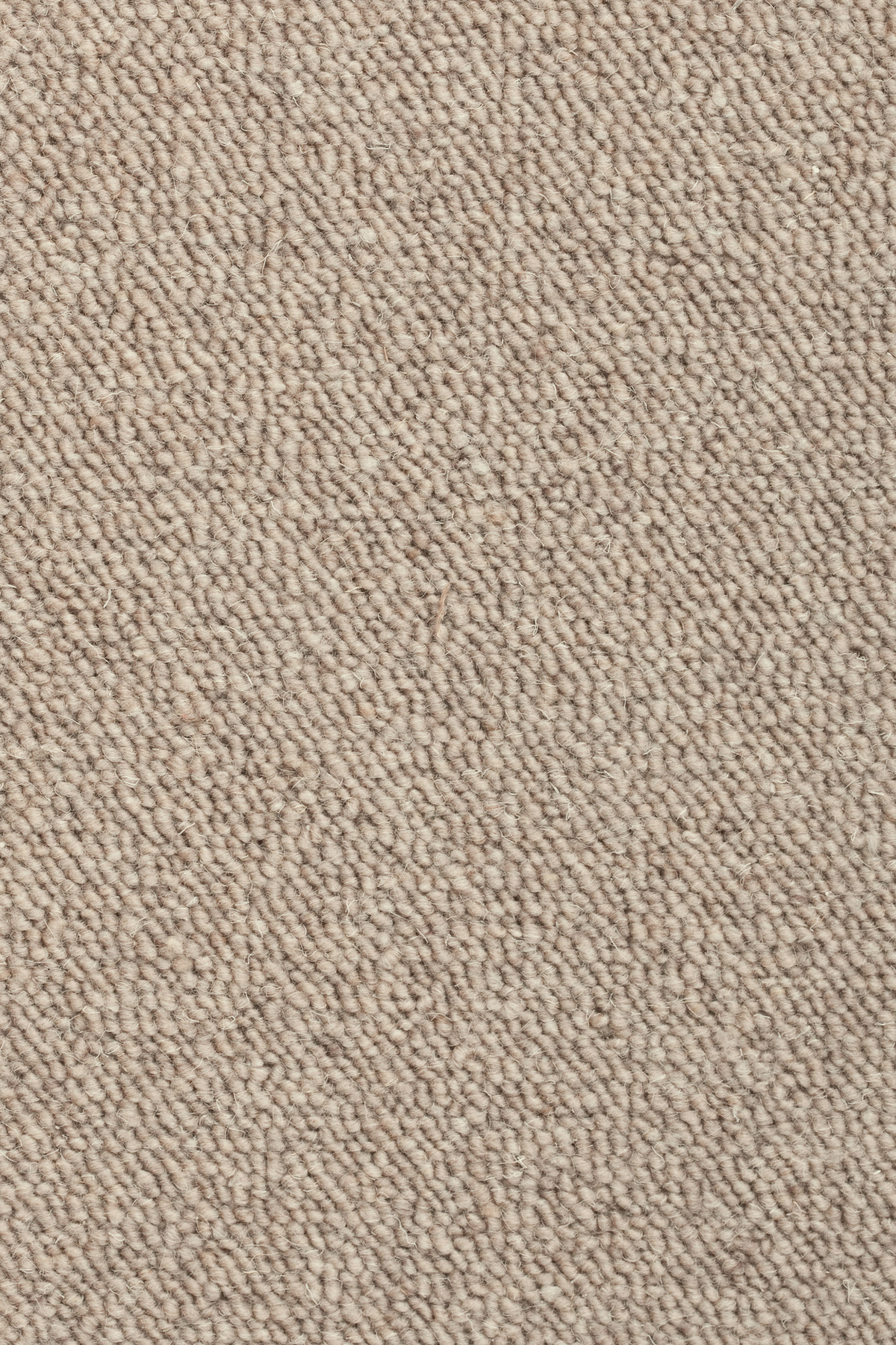 Zoom matière de la moquette Lanaé haute résistance - Fil de lin - 100 % pure laine vierge