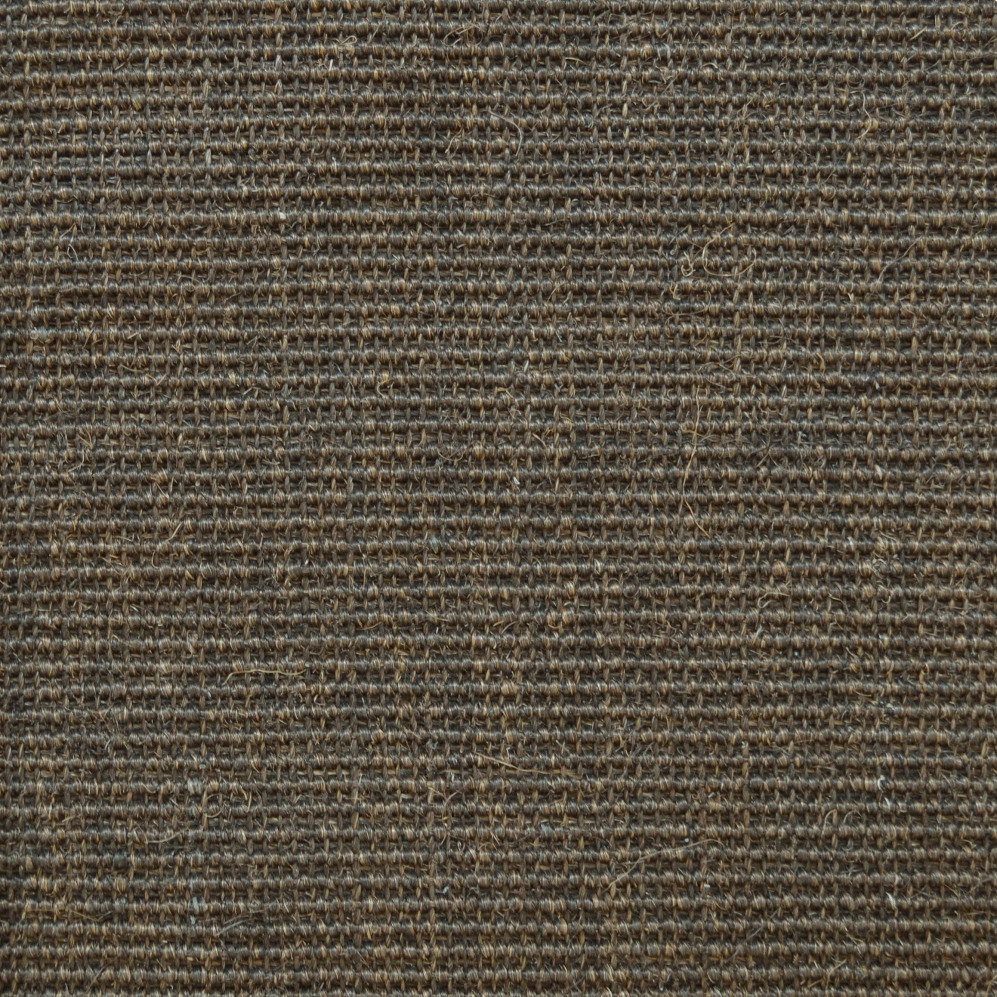 Sol Sisal - Minimal - Châtaigne grillée avec vue de dessus du tissage en petites boucles