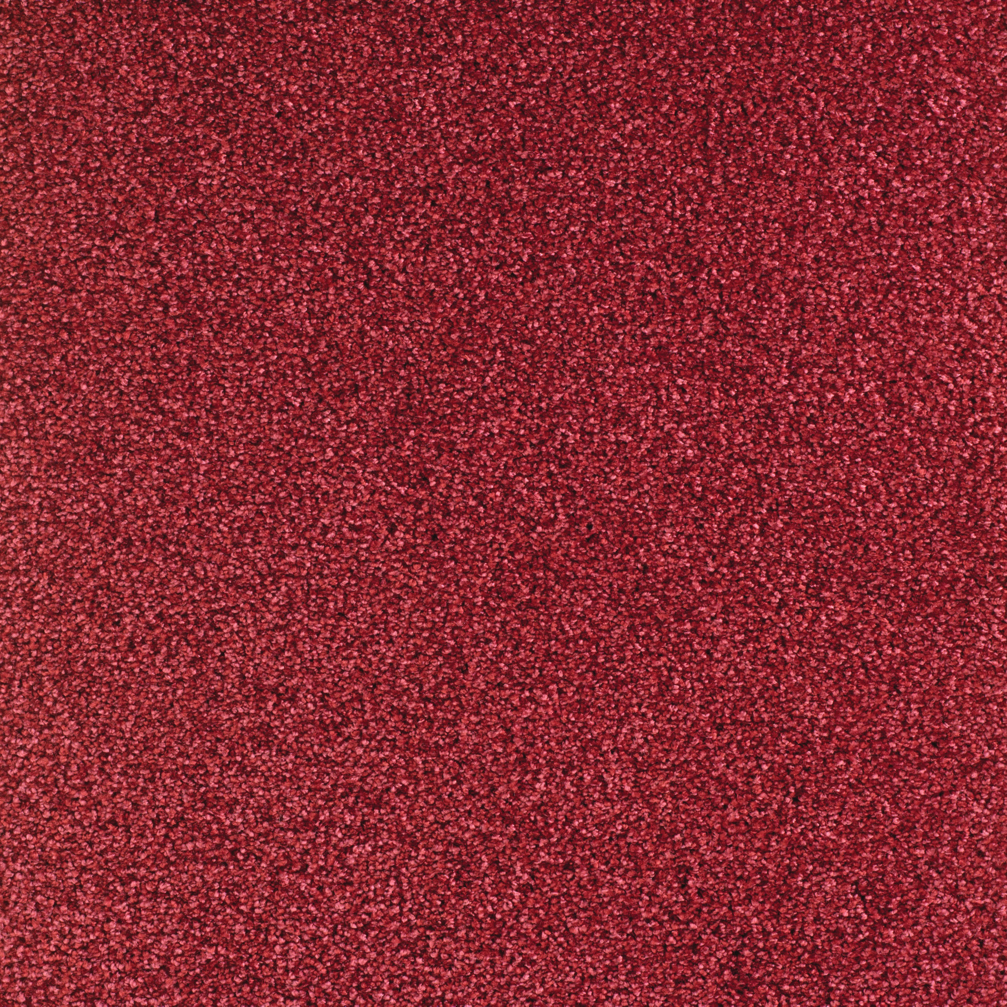 Moquette Délicatesse - Rouge gourmand au coloris rouge profond créant une atmosphère chaleureuse