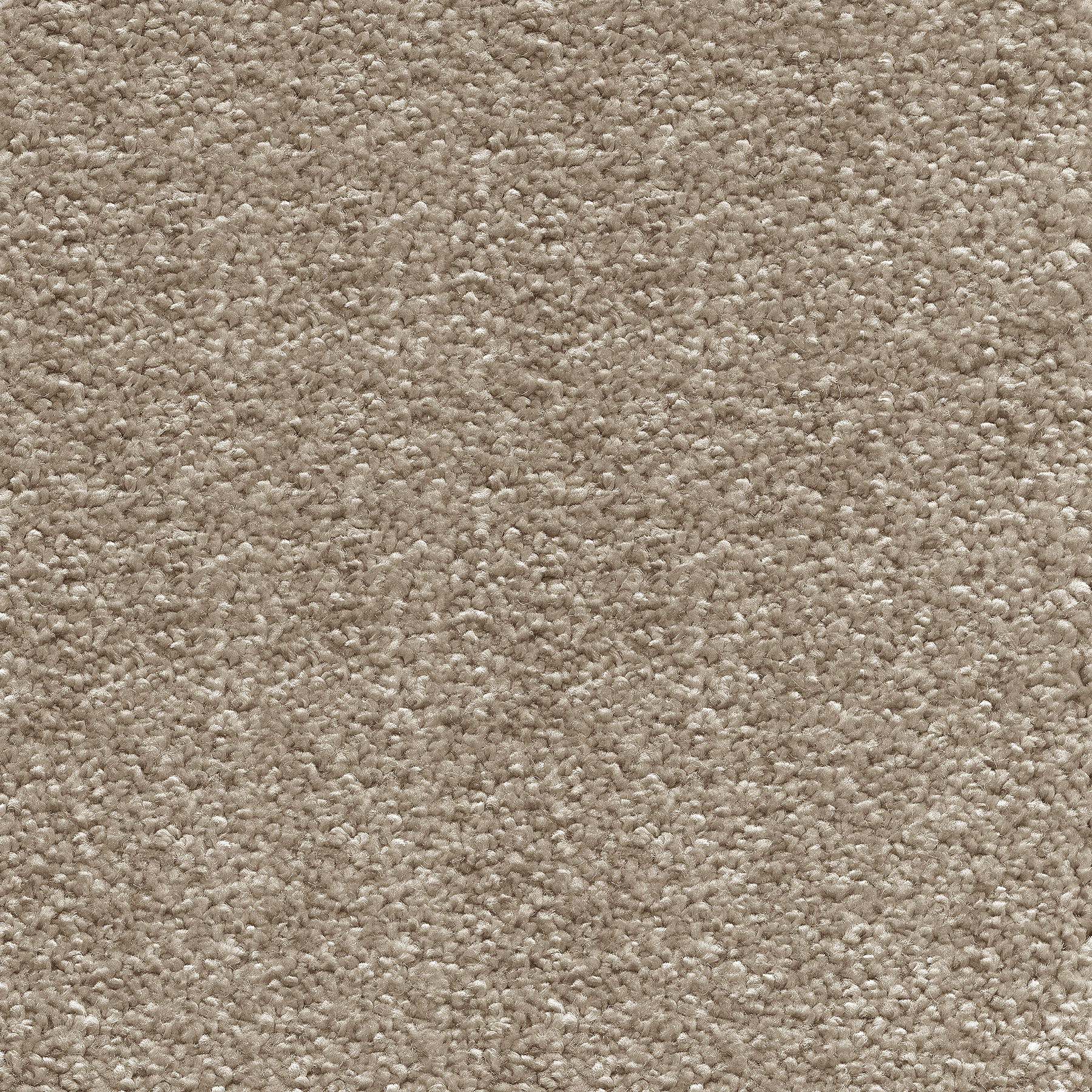 Gros plan sur le velours moelleux de la moquette Lovely, teinte beige muscade