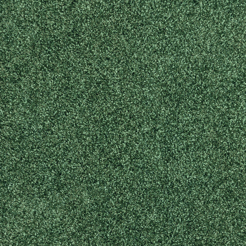 Texture de la moquette douce Délicatesse - Vert sapin au coloris vert profond inspiré des forêts naturelles