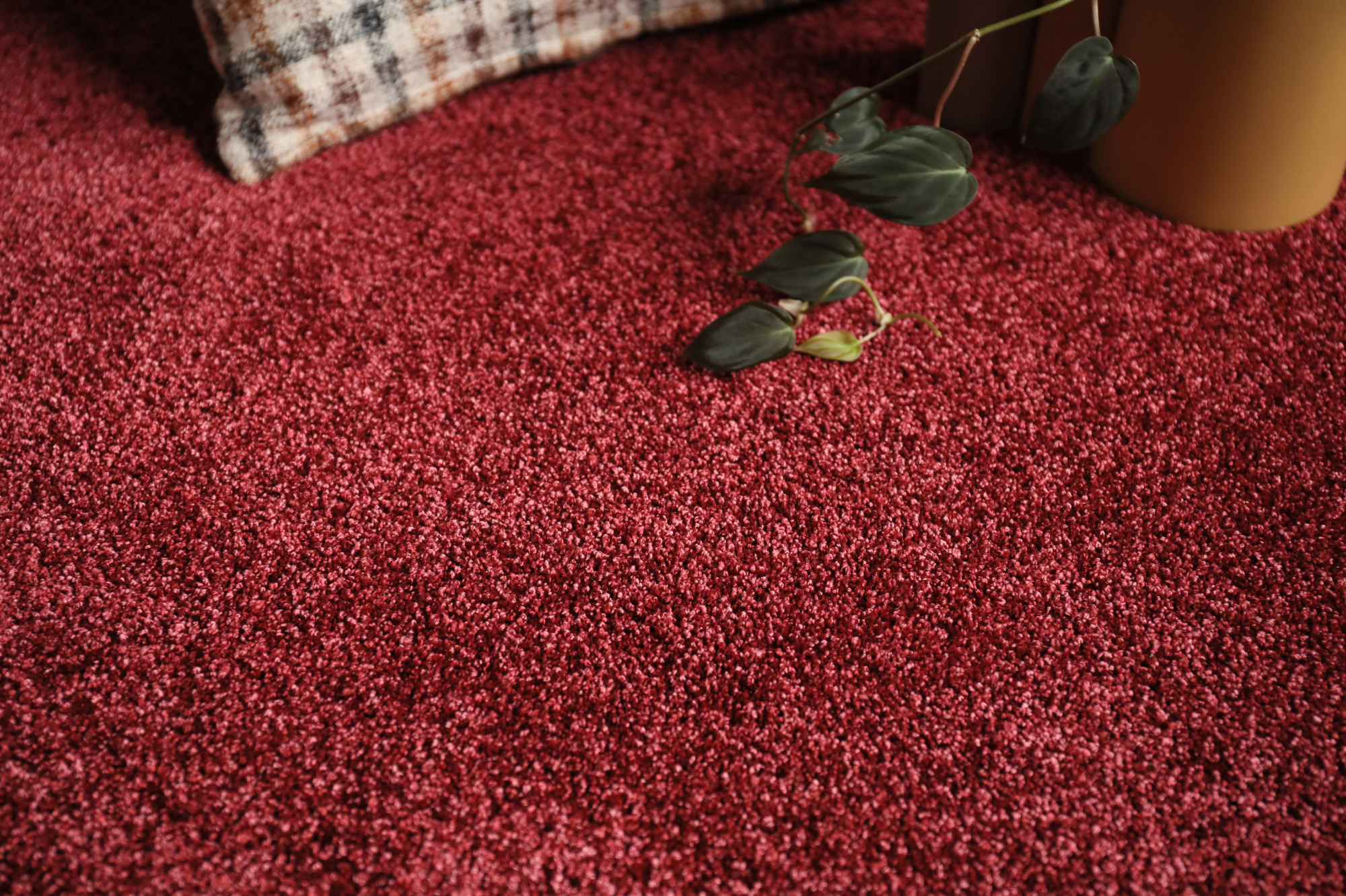 Revêtement textile Délicatesse - Rouge gourmand dans une ambiance chaleureuse inspirée des couleurs épicées