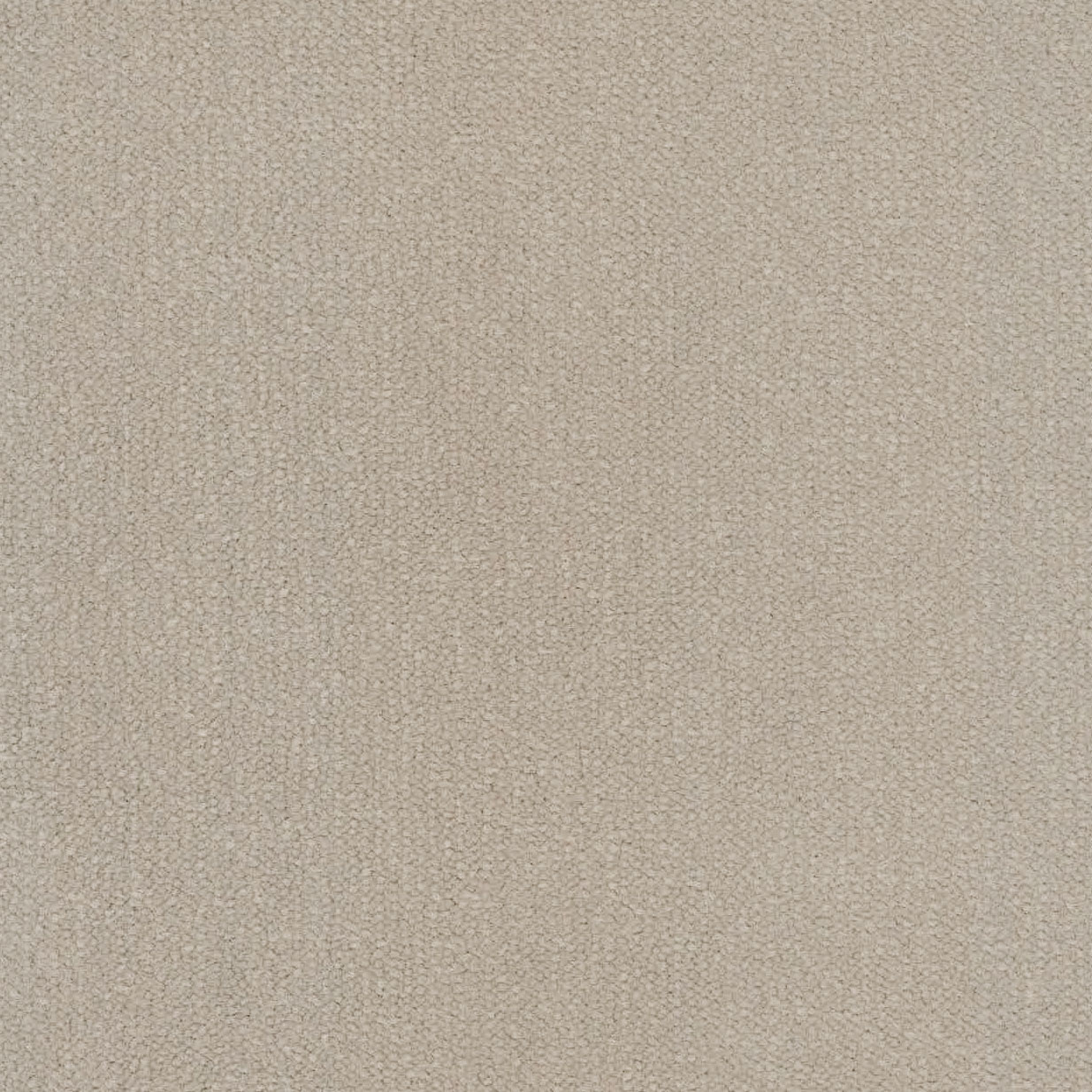 Moquette bouclée en nylon teinté masse - Coloris Tendre muscade classé feu Cfl-s1