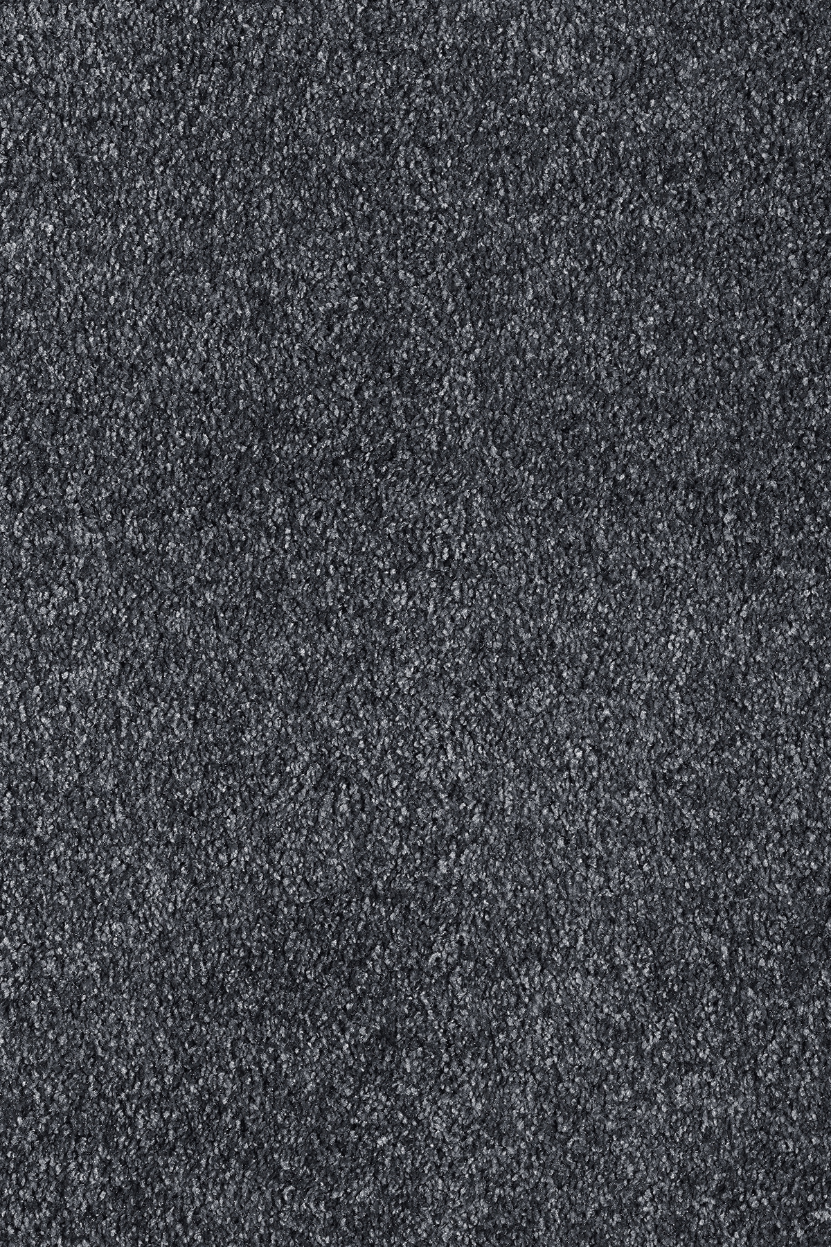 Moquette éco-conçue - Infini 11.5 - Gris profond