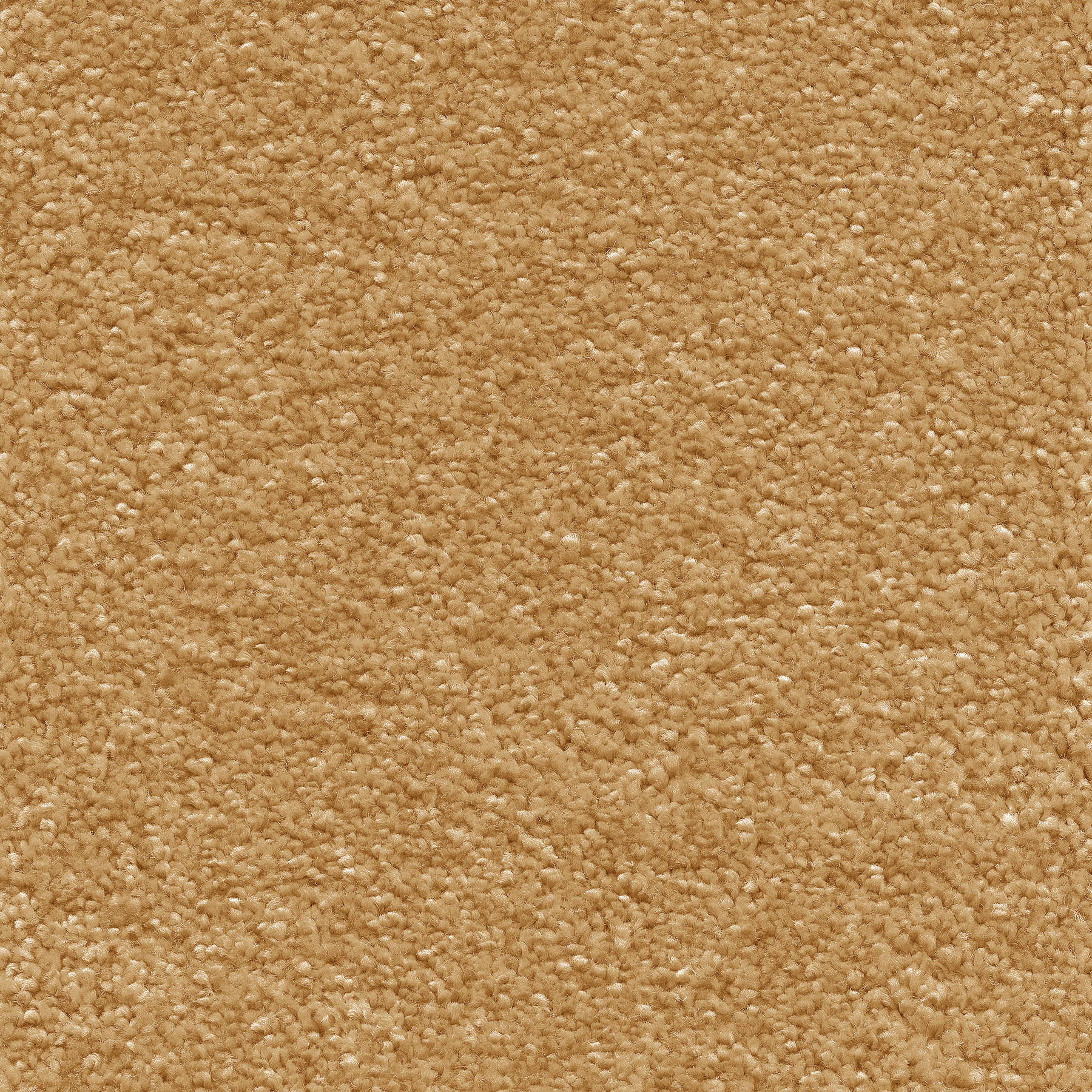 Texture veloutée de la moquette Lovely camel, agréable au toucher, aspect mat élégant