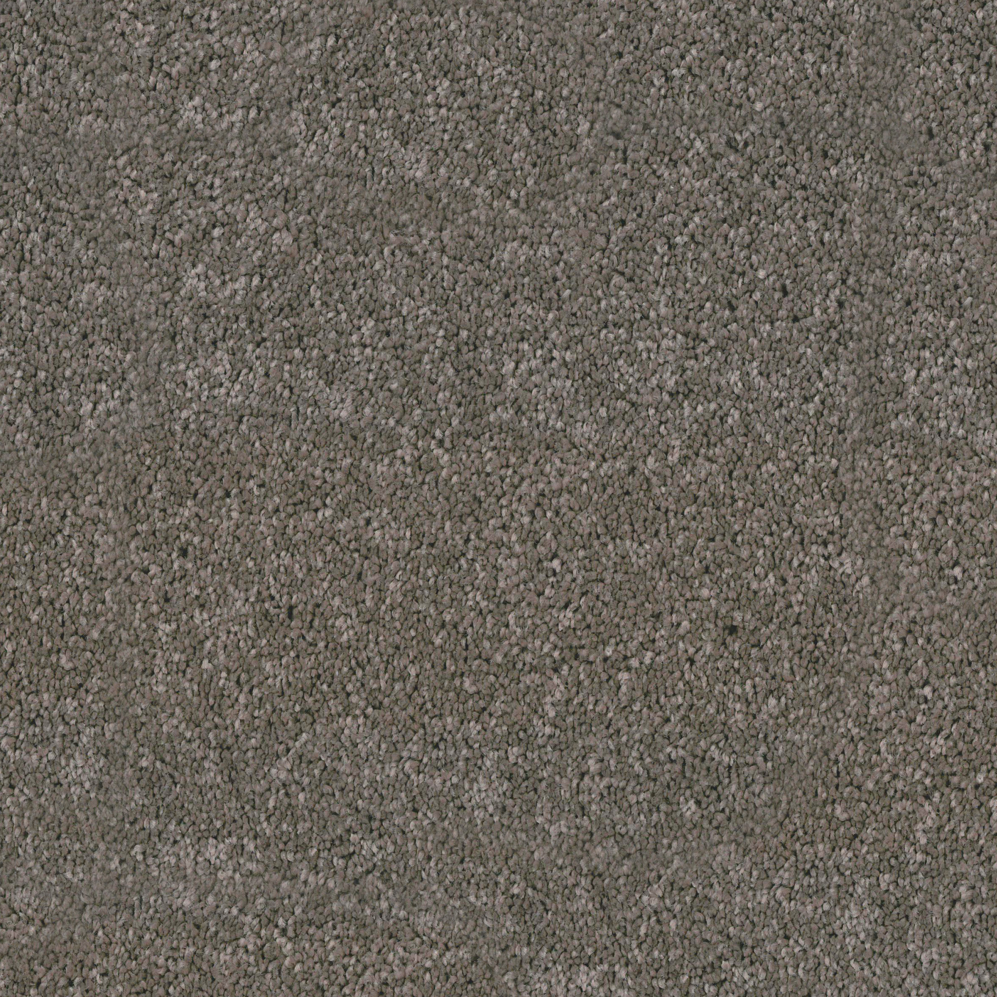 Moquette - Palace - Marron tonka