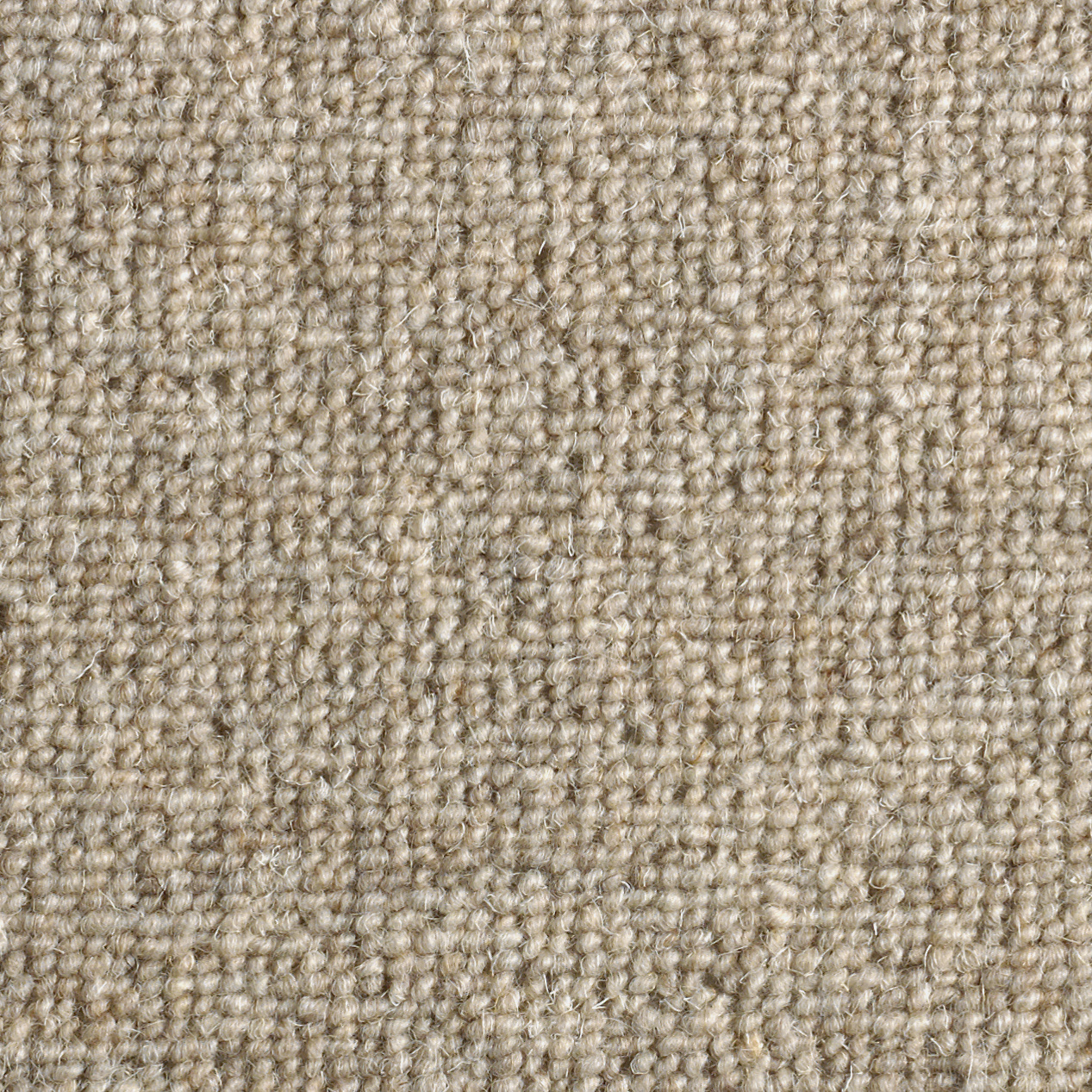 Détail du tissage en petites boucles de la Moquette naturelle en laine - Dolce Vita - Nude en pure laine vierge