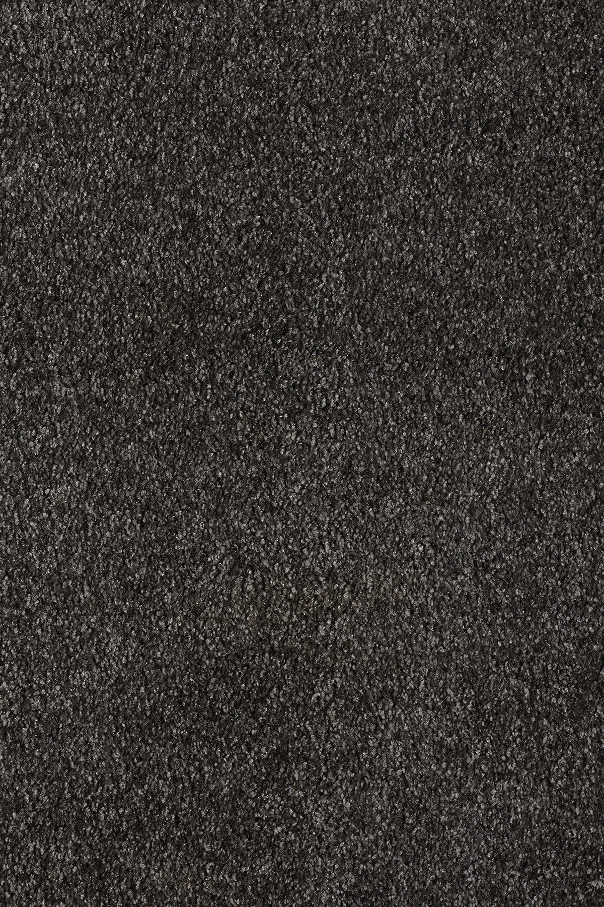Moquette éco-conçue - Infini 17.5 - Noir intense