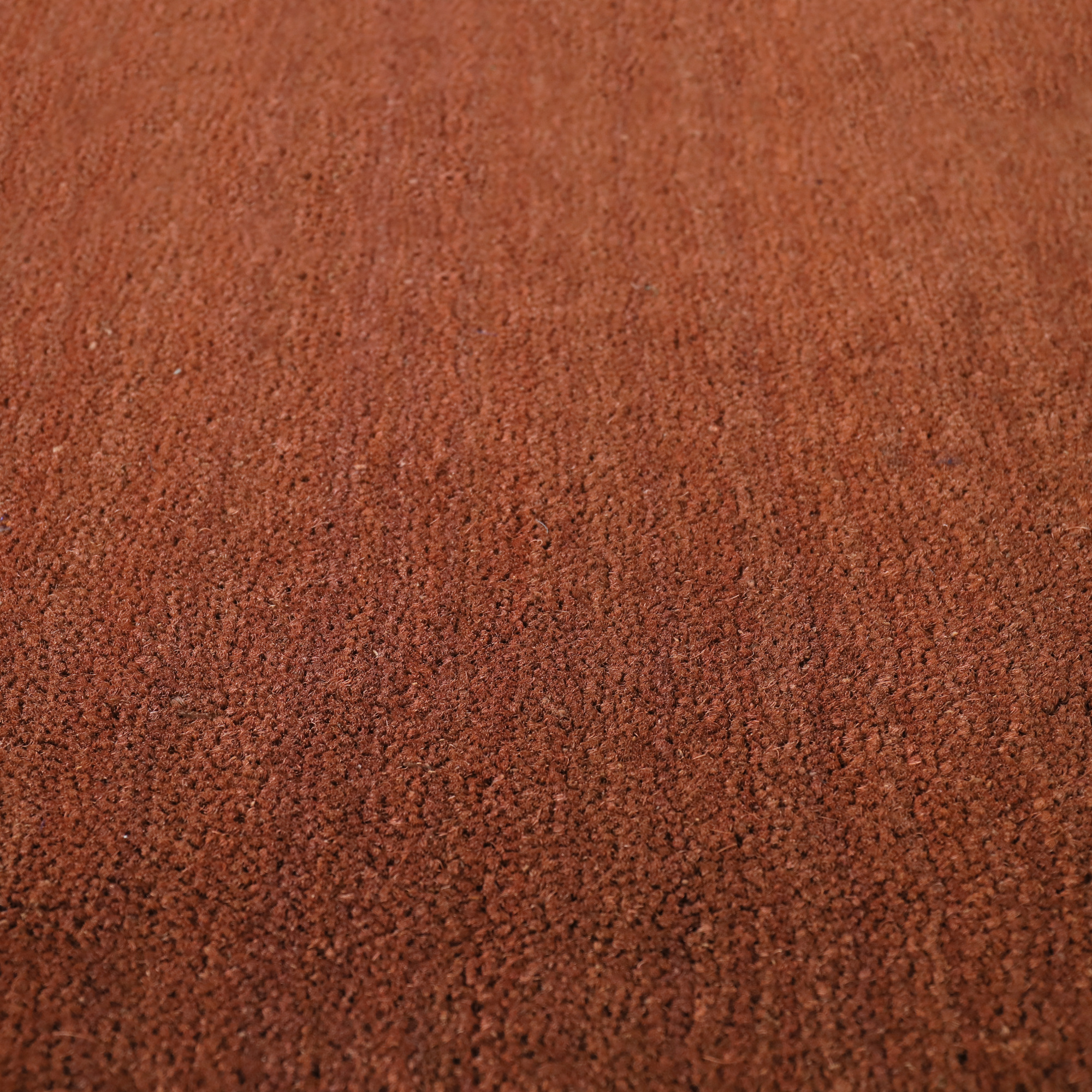 Paillasson brosse Fibre de coco 17 mm Rouille, texture végétale résistante à l’usure quotidienne