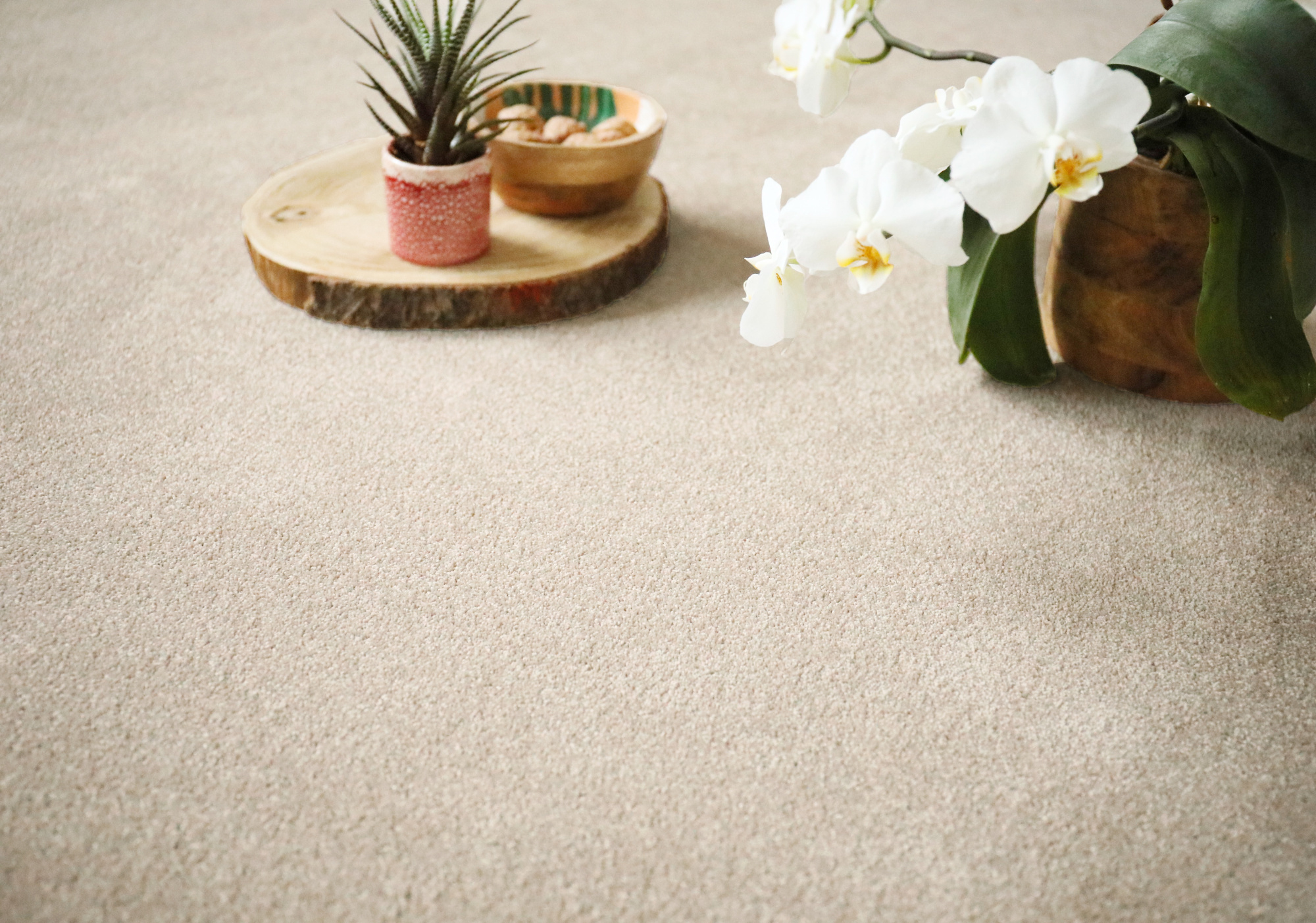 Moquette éco-conçue - Infini 11.5 - Lin naturel dévoilant sa texture douce dans un décor végétal