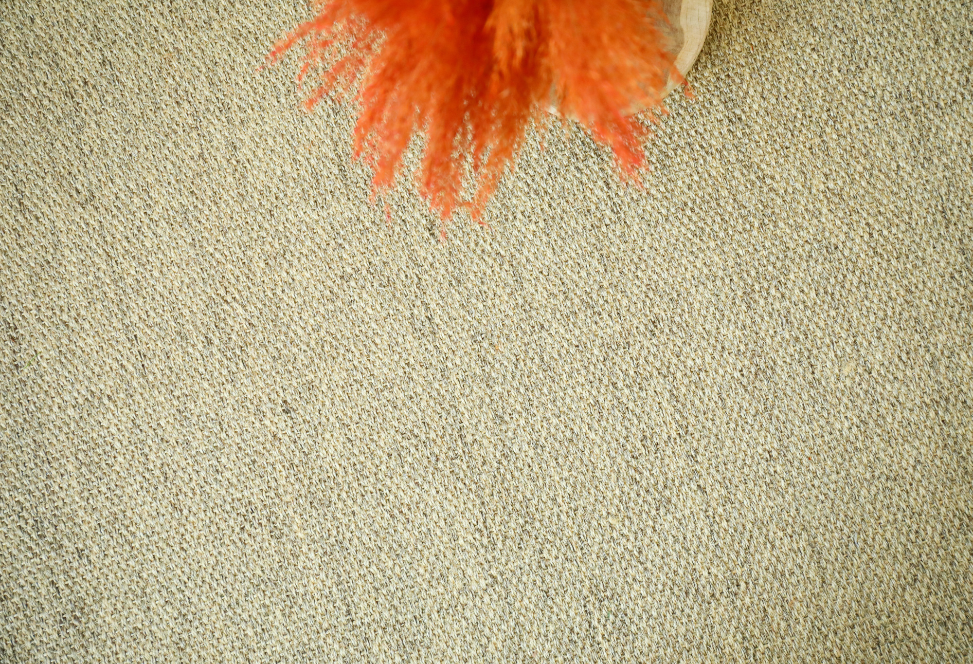 Sol Sisal - Crafted - Dune mettant en avant son tissage fin et régulier sous une décoration végétale