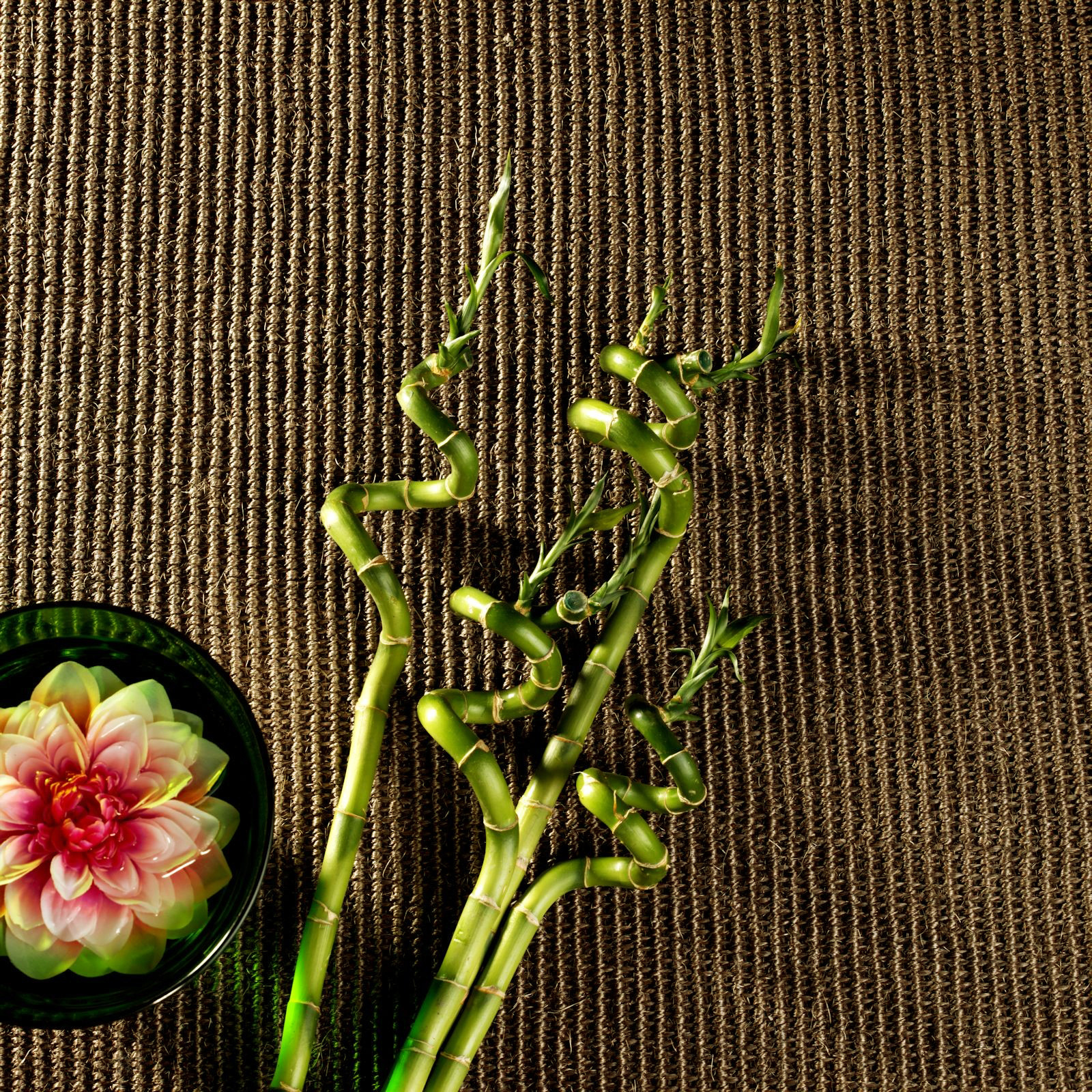 Sol Sisal - Minimal - Châtaigne grillée accompagné d’une composition florale posée au sol