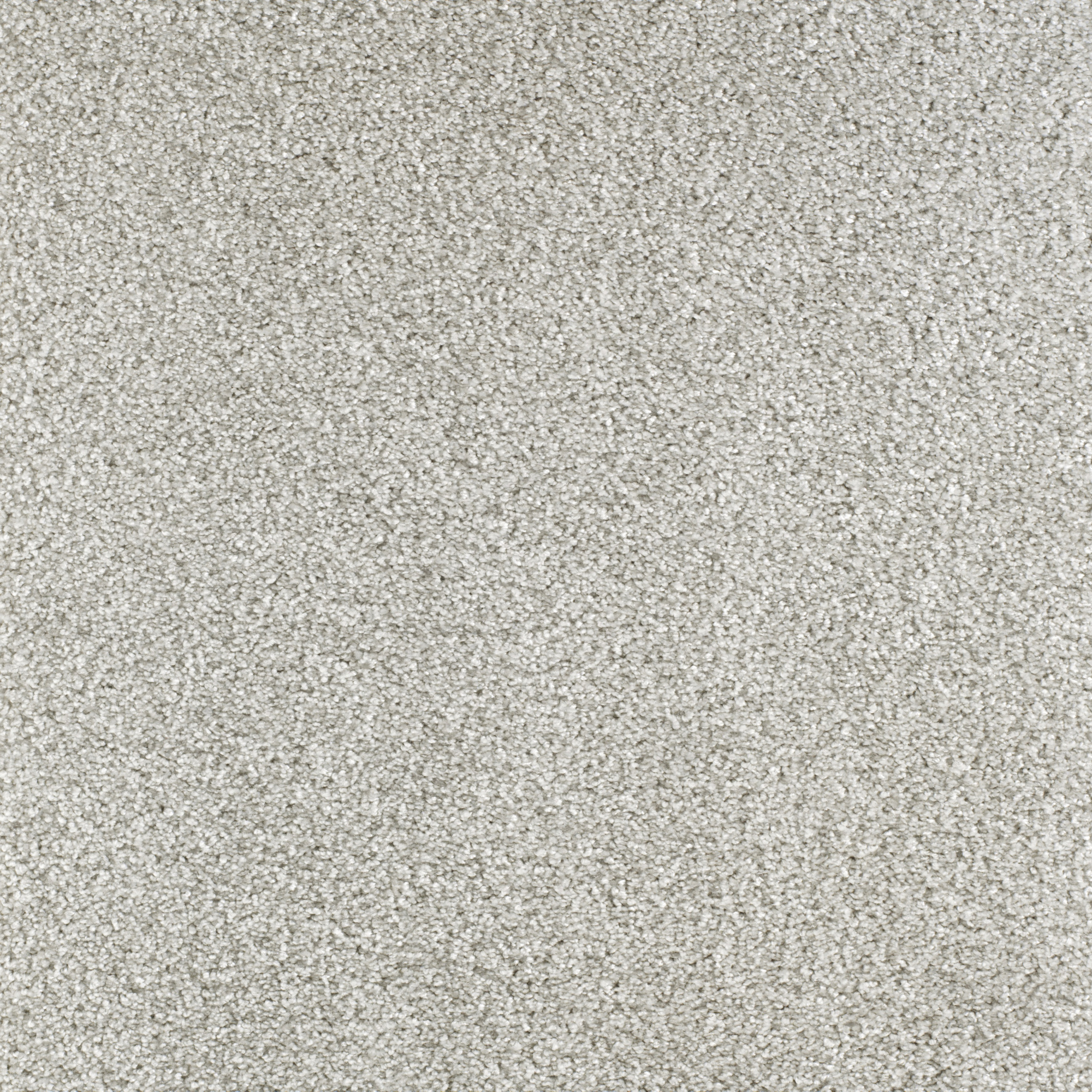 Aspect matière de la moquette Délicatesse - Gris perlé révélant des fibres douces aux nuances minéralesMoquette douce Délicatesse gris perlé